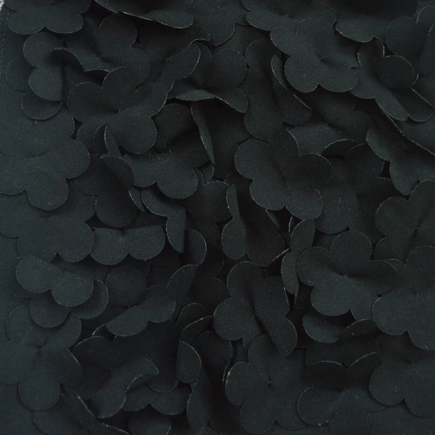 DSC_1234.png