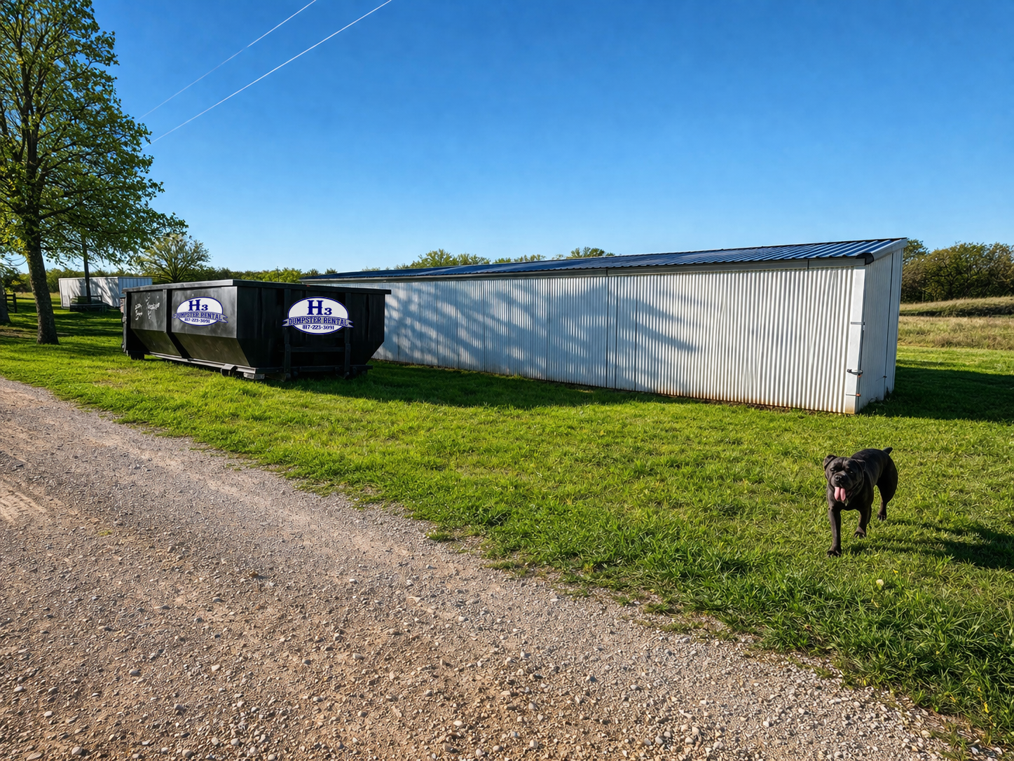 A black dog walking on grass next to a white metal storage shed and two black dumpsters with signs that read 'H3 Dumpster Rental'. The sky is clear and blue with two contrails.
