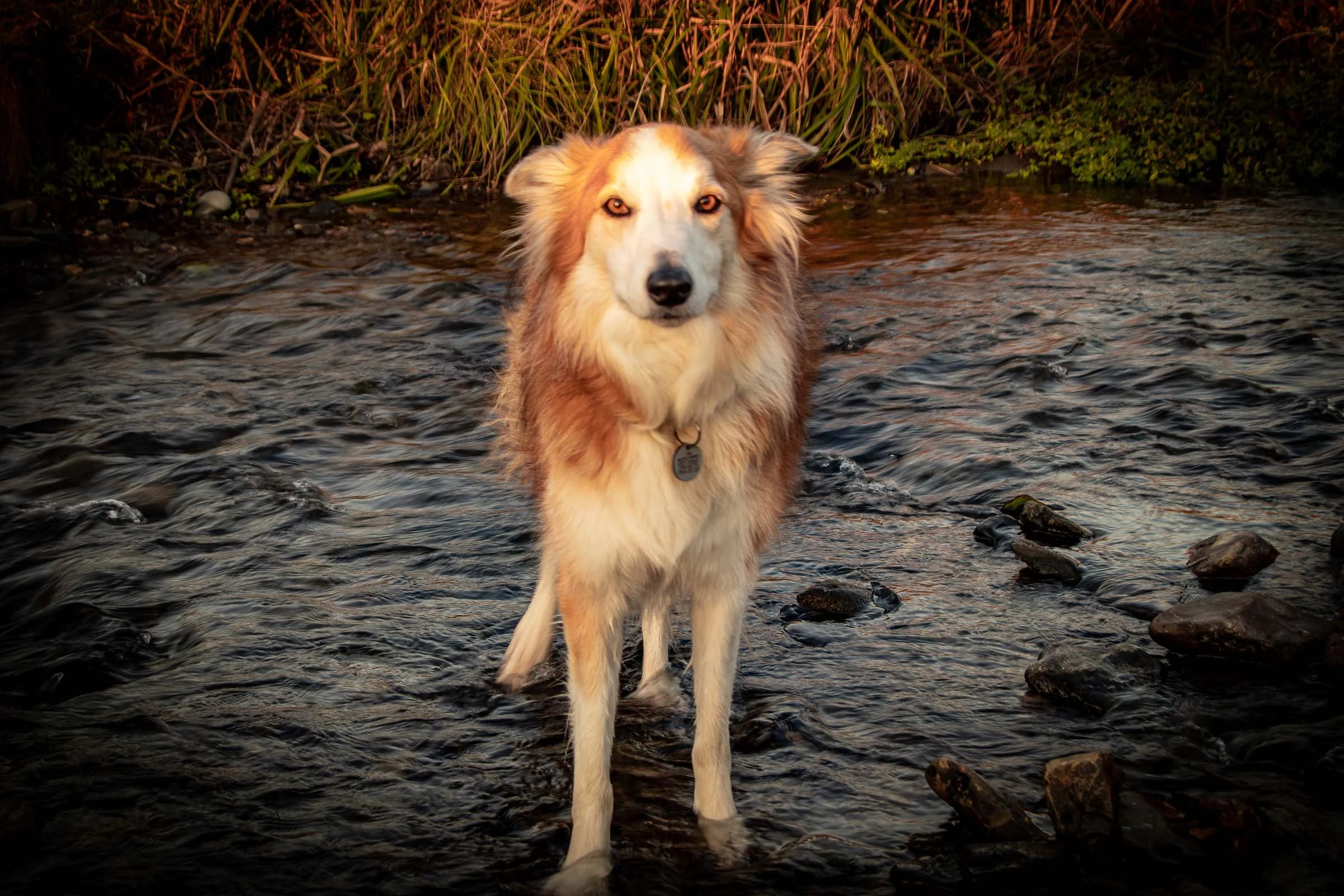 Jesse in the River.jpg