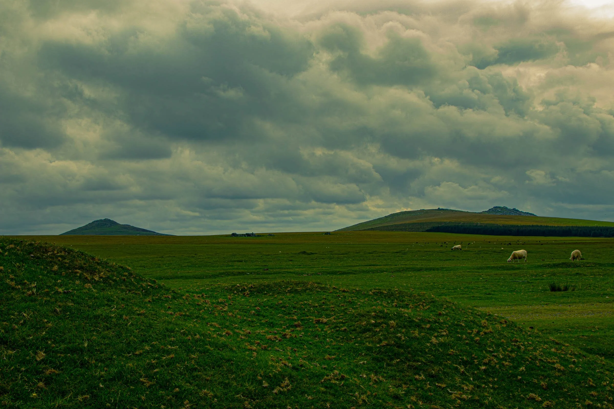 davidstow-roughtor-lowena-studios.jpg