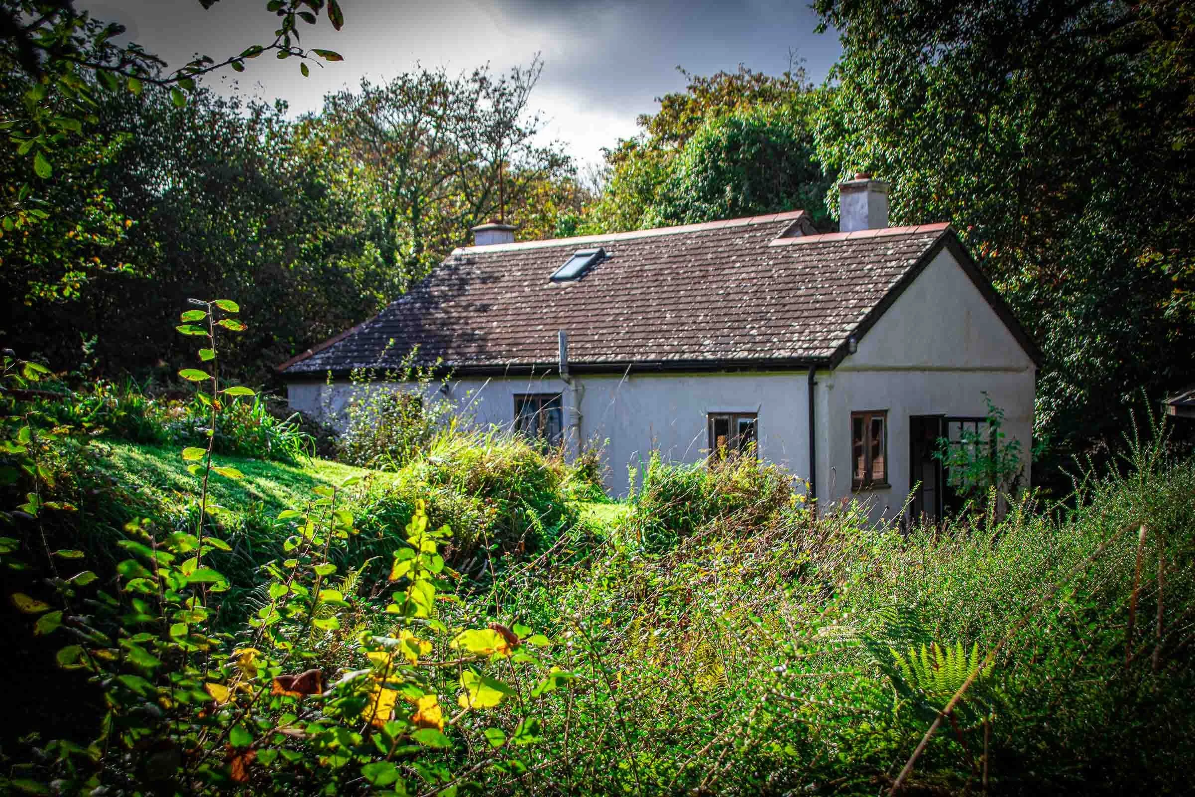 cottage-in-the-woods-lowena-studios.jpg