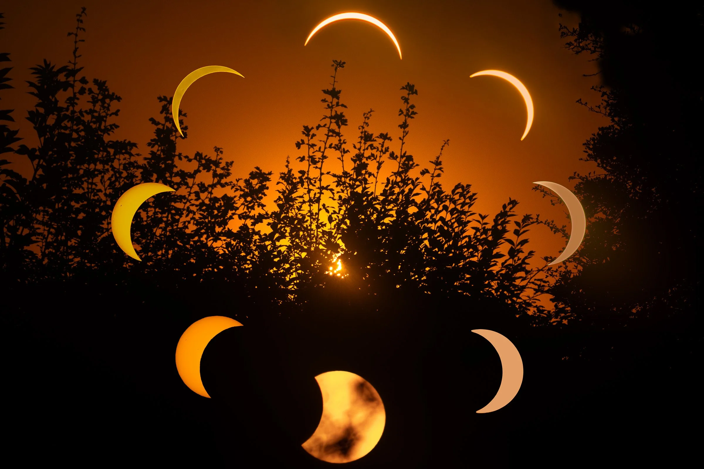 Composite Eclipse Jpeg.jpg