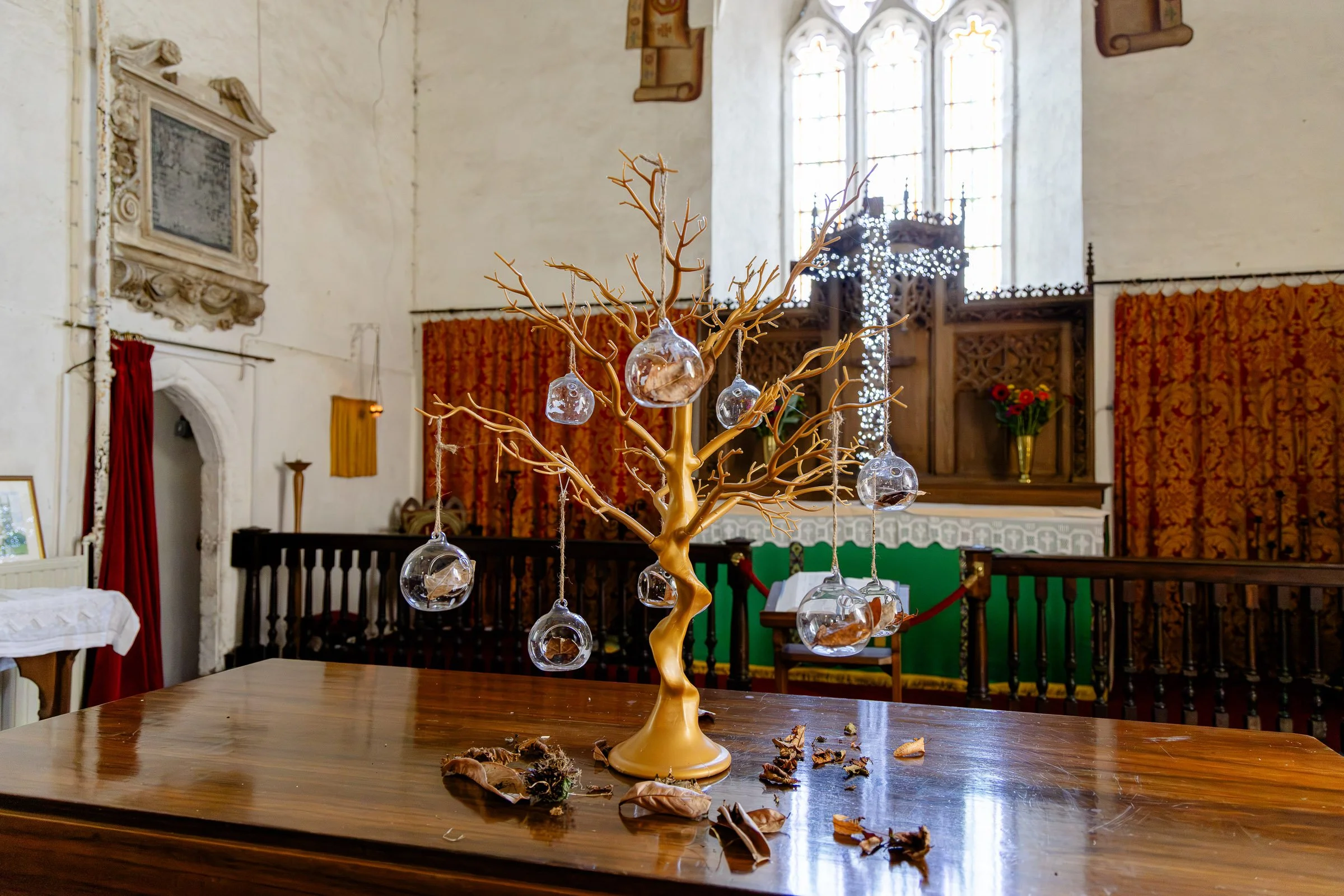 Tree-Of-Life.jpg