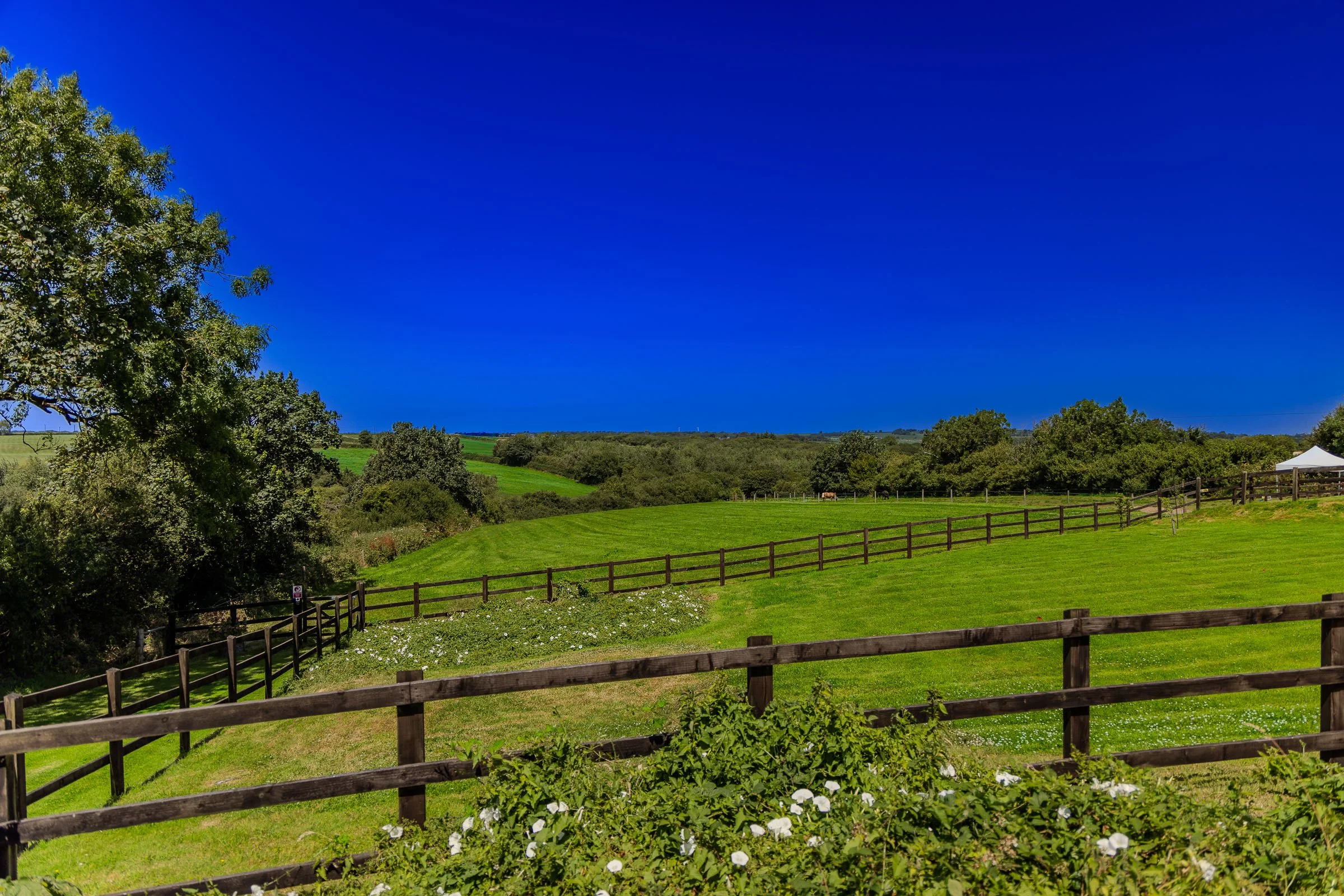 Cottage-View.jpg