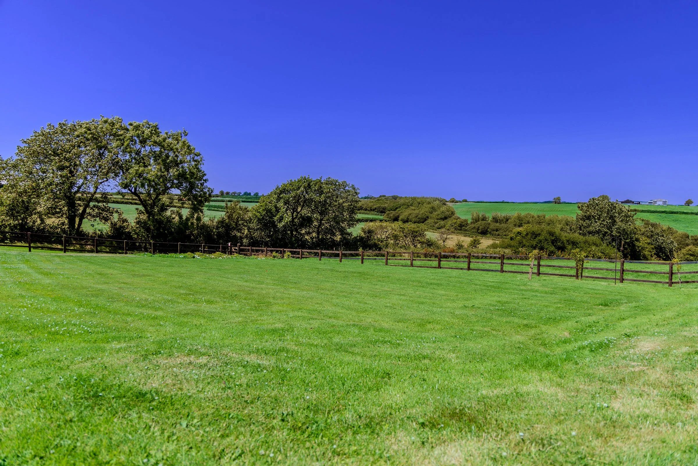 Lawn.jpg