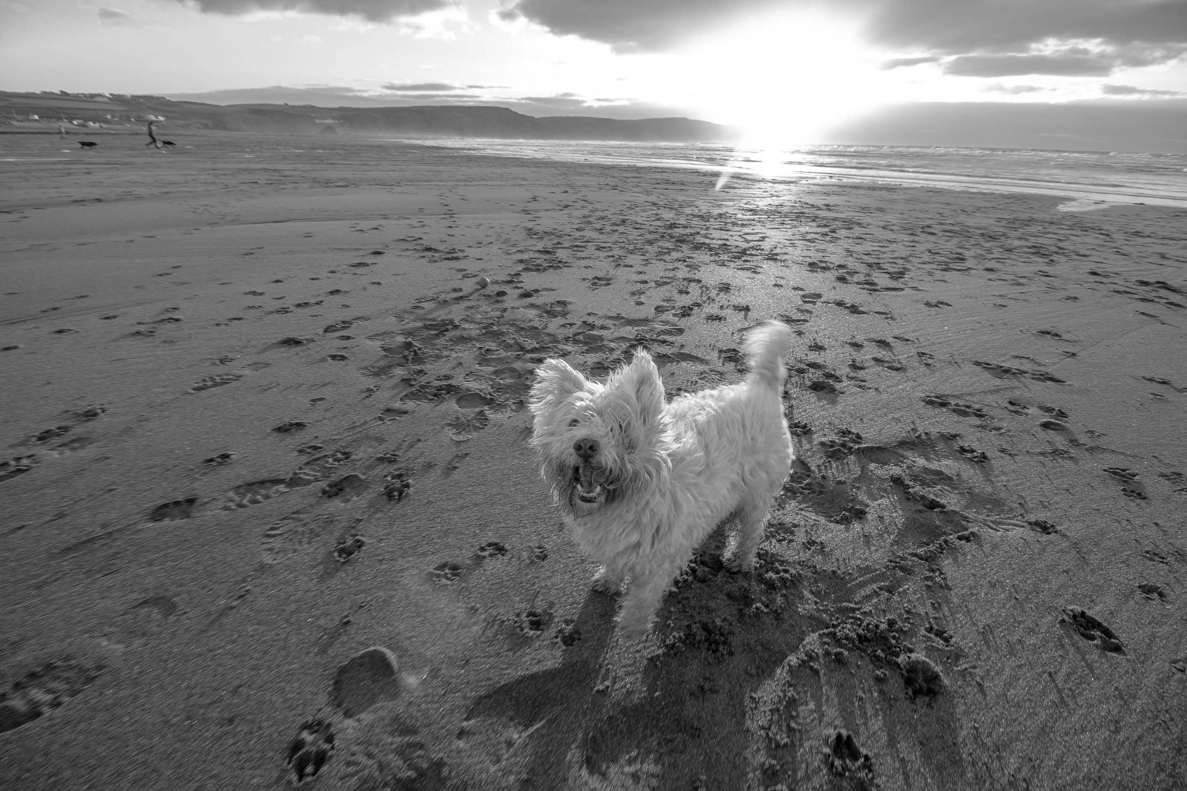 Charlie at Widemouth B&W.jpg