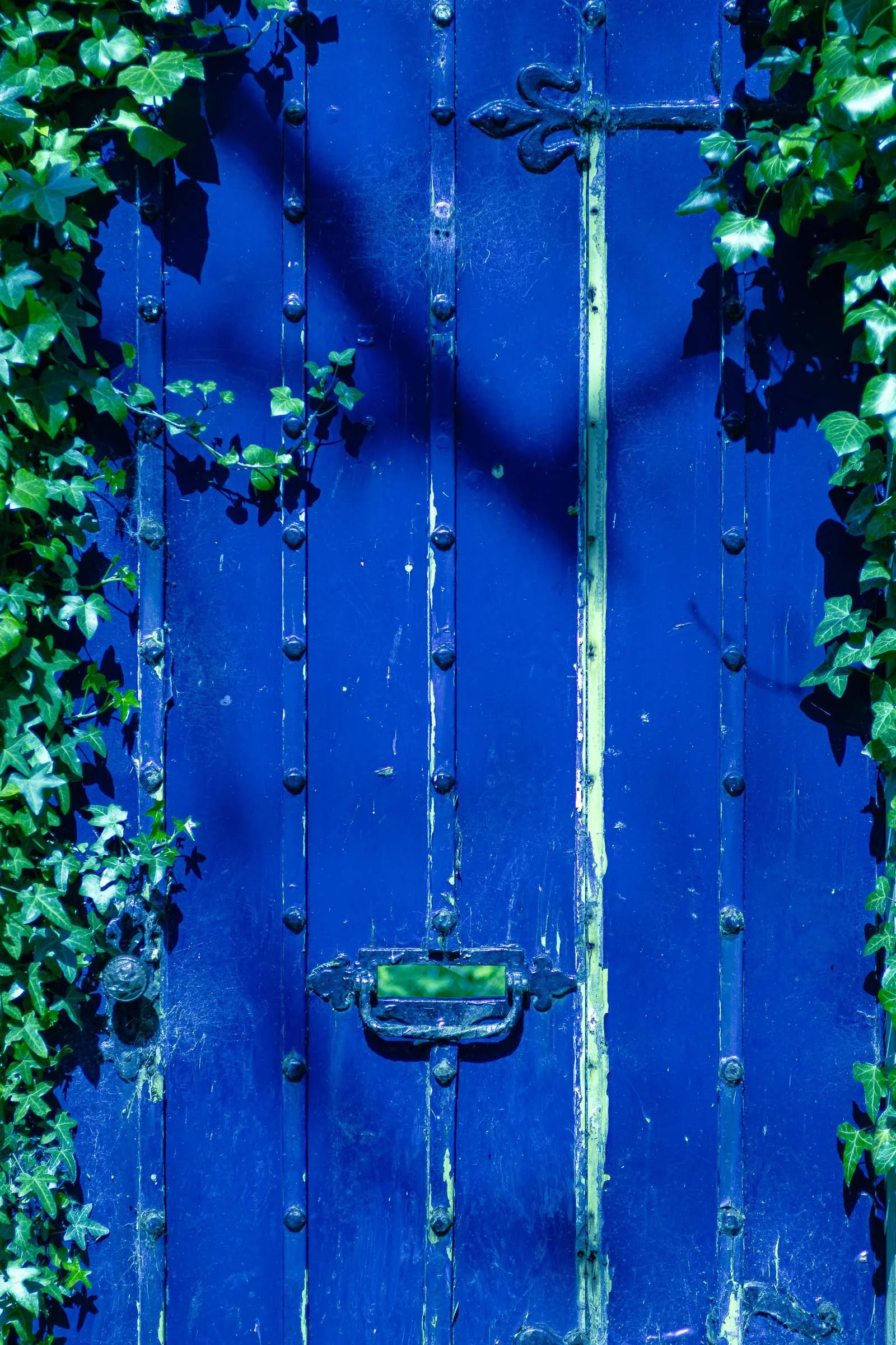 woodland-doorway-lowena-studios.jpg