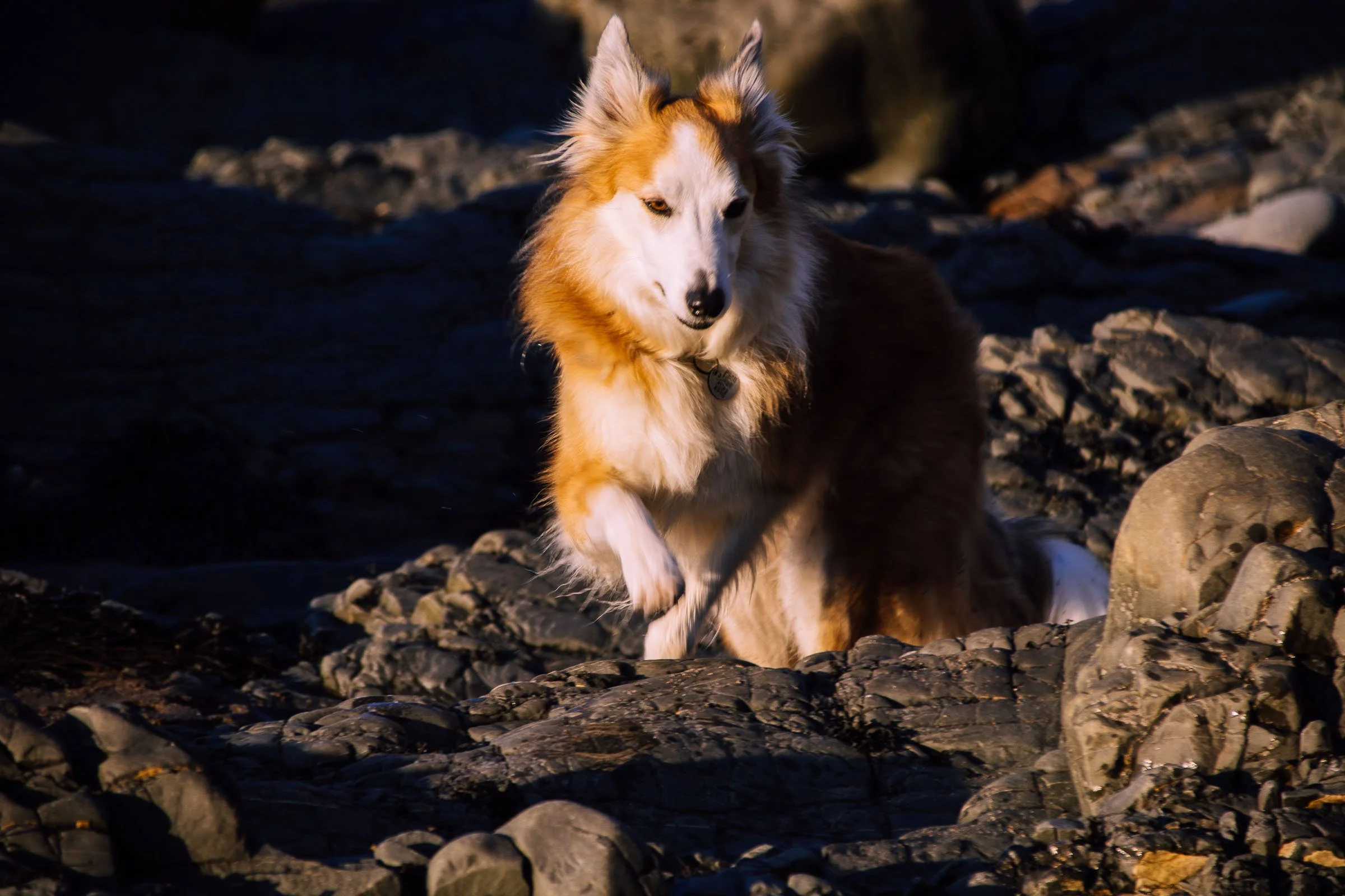 Jesse on the Rocks.jpg