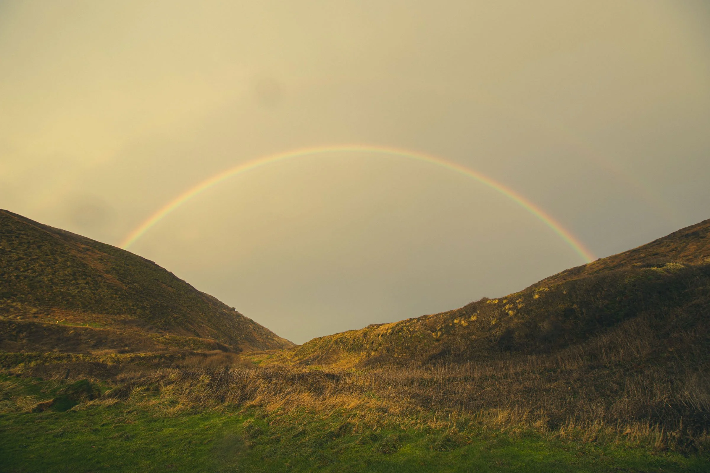 welcombe-double-rainbow-lowena-studios.jpg