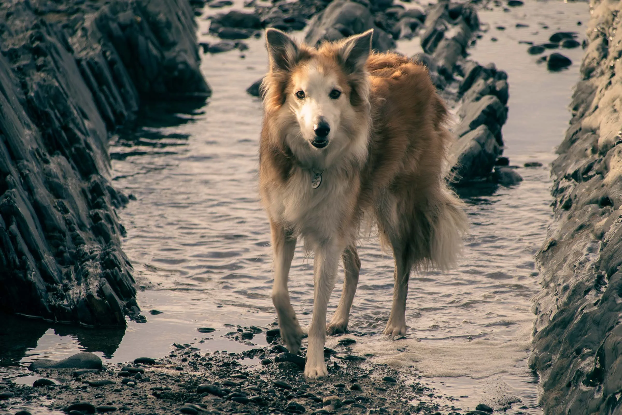 Jesse Wading.jpg