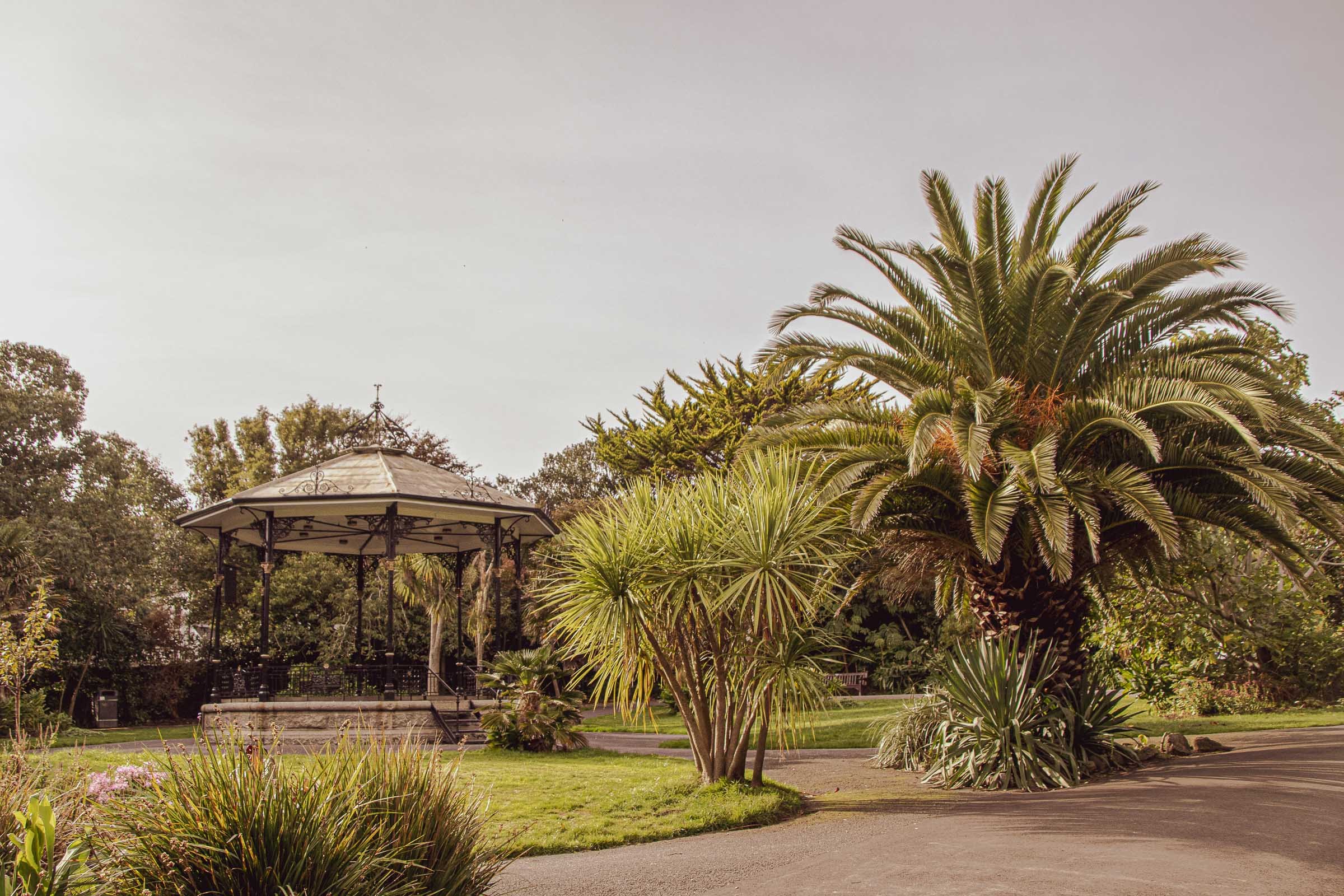 penzance-garden-palm_-lowena-studios.jpg