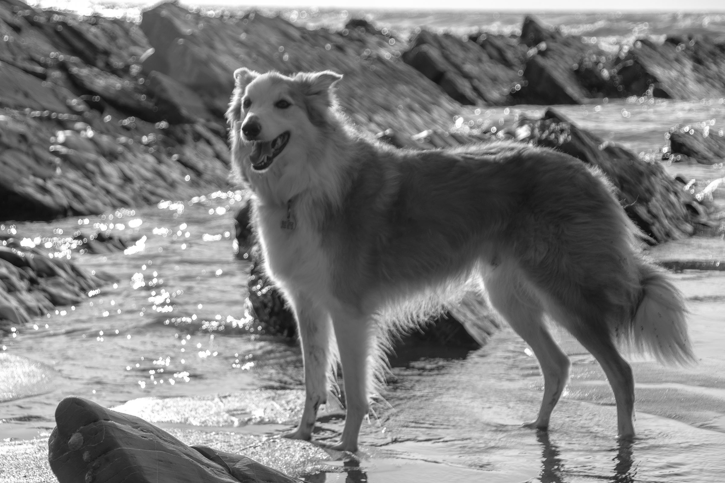 Jesseby the Sea B&W.jpg