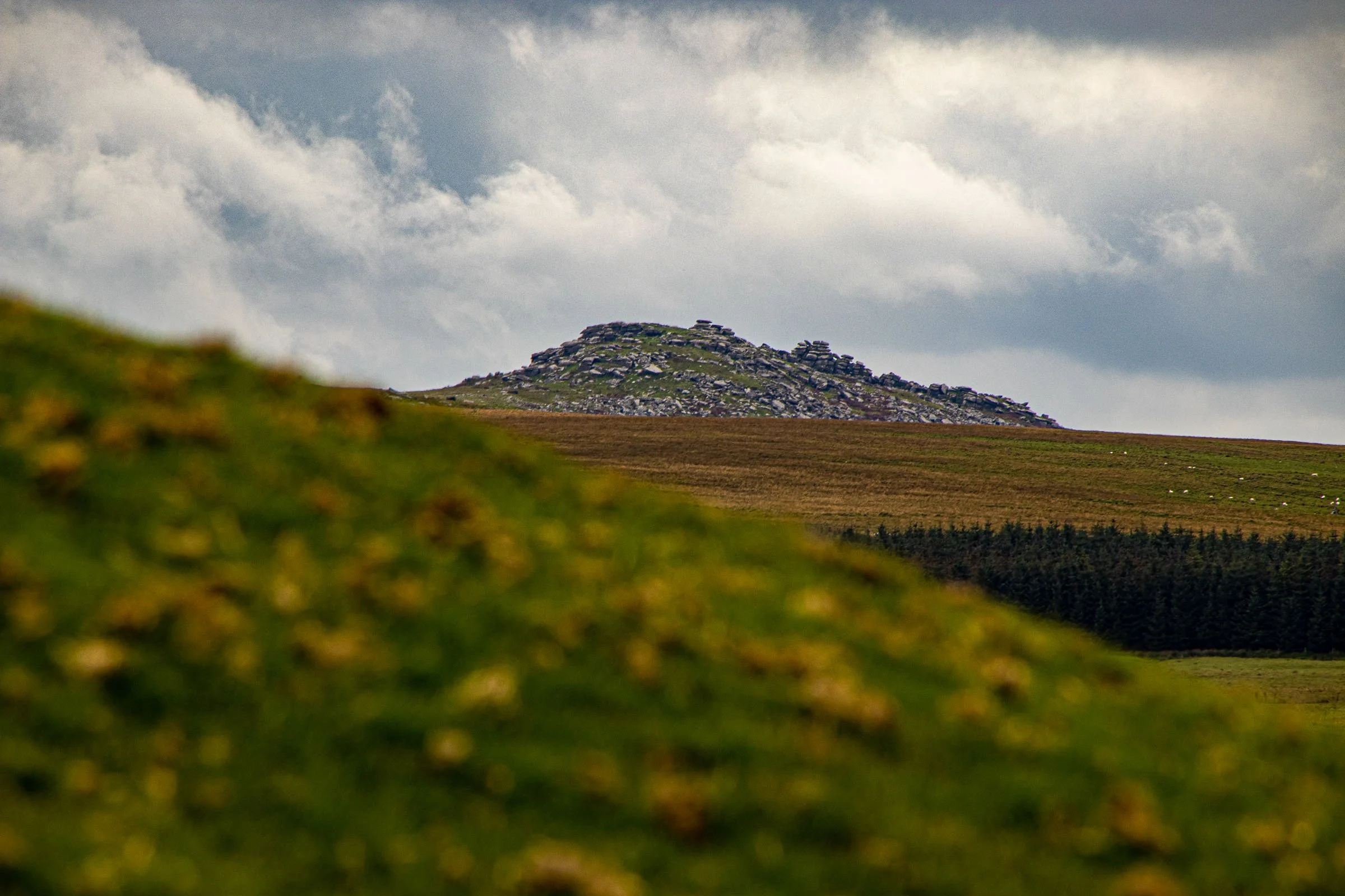 roughtor-lowena-studios.jpg