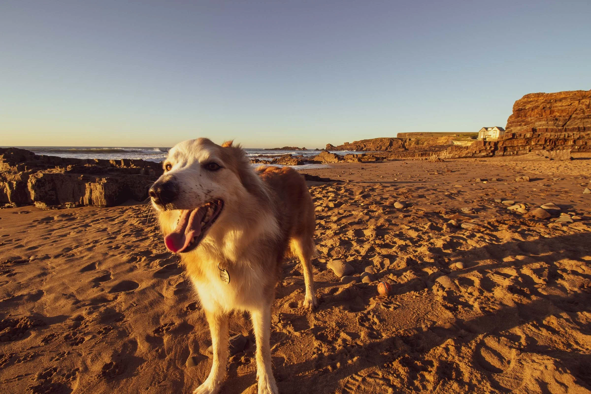 Jesse In the Sun at Bude Close.jpg
