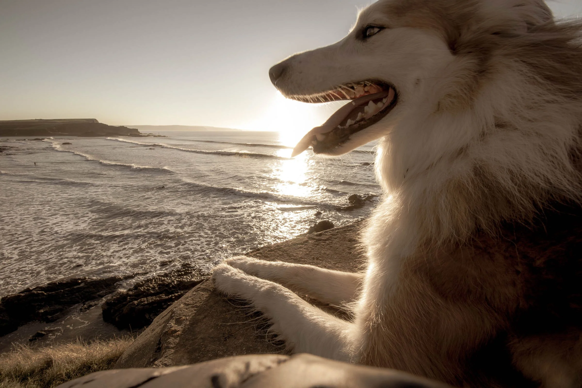 Jesse Breathing the Sun.jpg