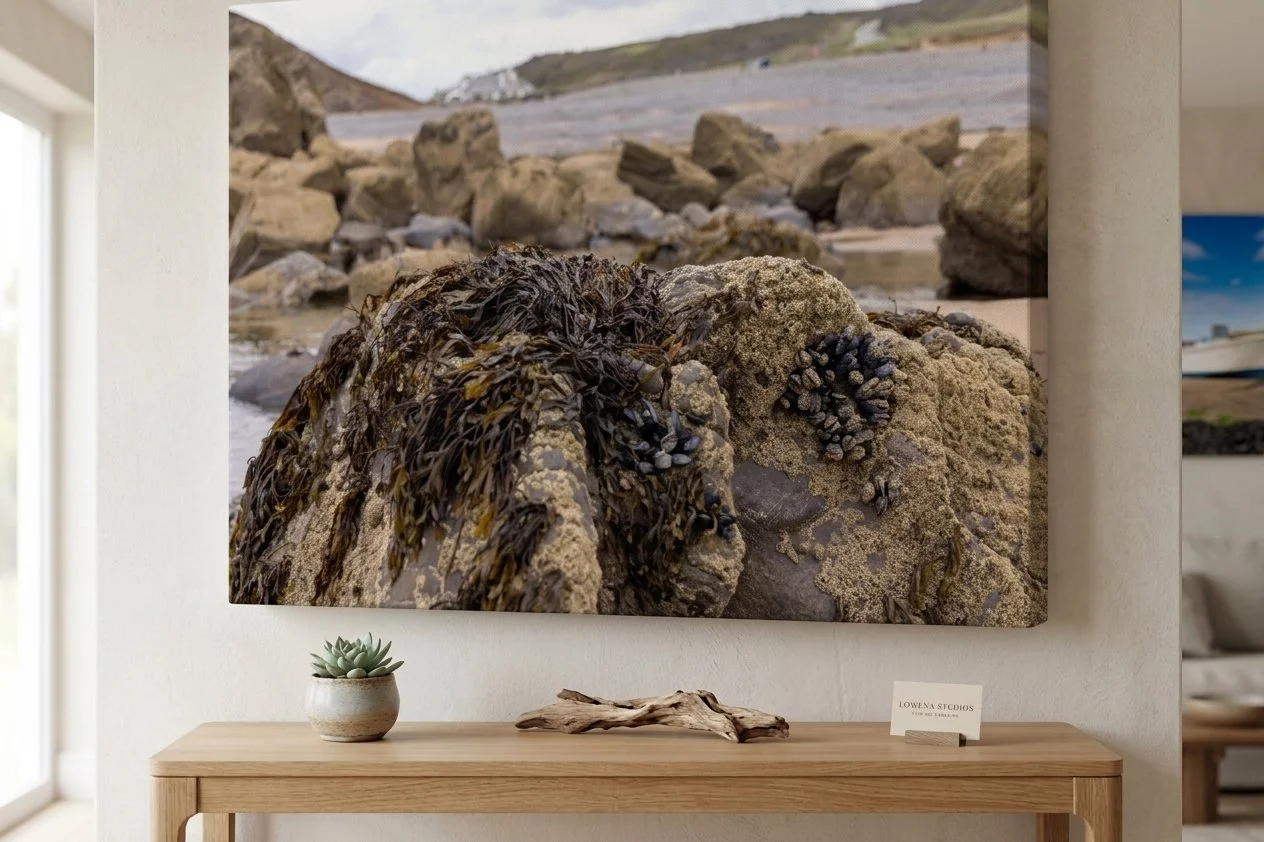 Canvas Seaweed.jpeg