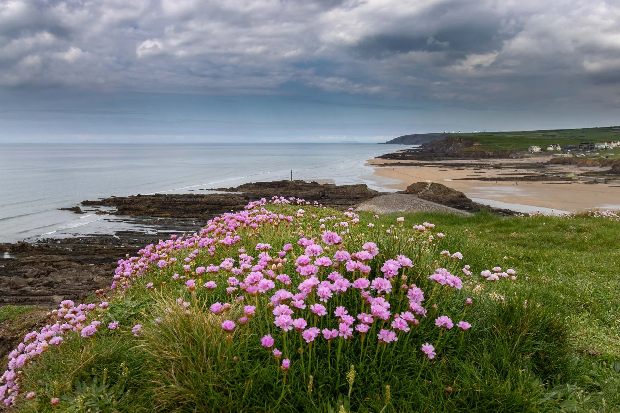 flowers-breakwater-lowena-studios.jpg