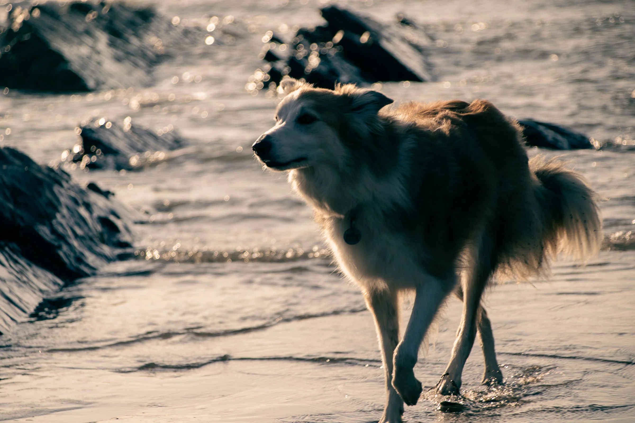 Jesseby the Sea_.jpg
