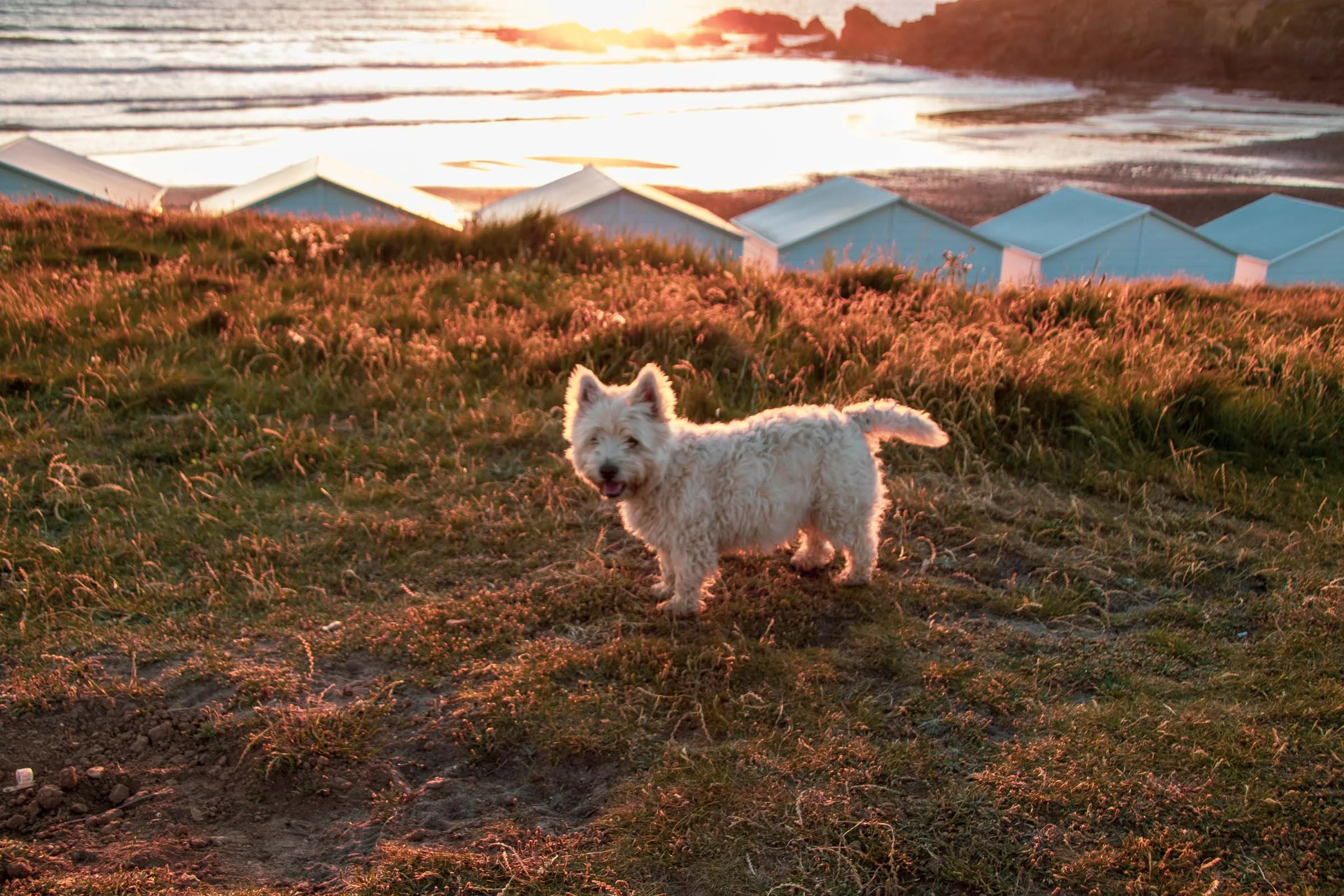 Crooklets Sunset Hut Charlie.jpg