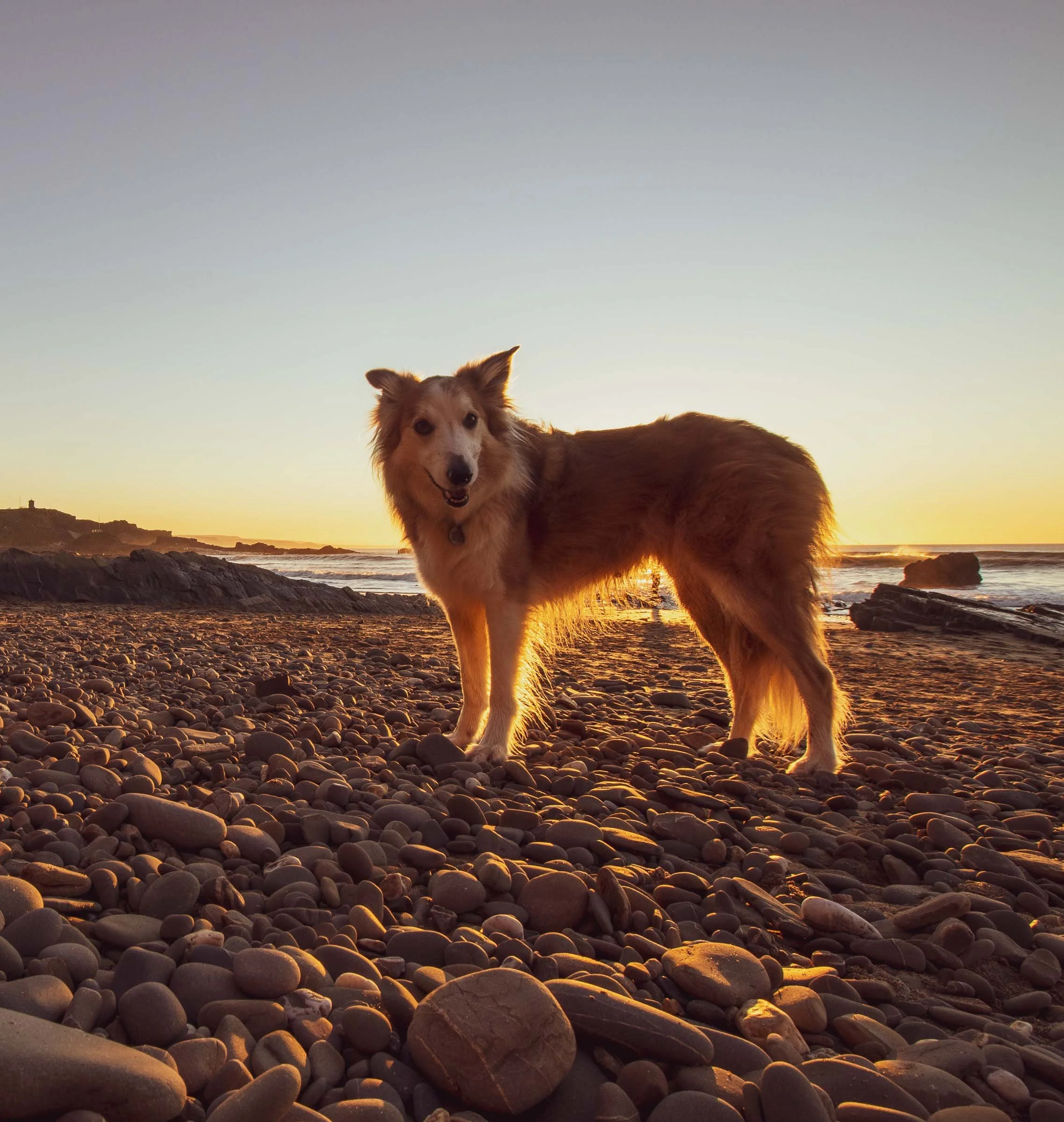 Jesse Sunset Bude Siluette.jpg