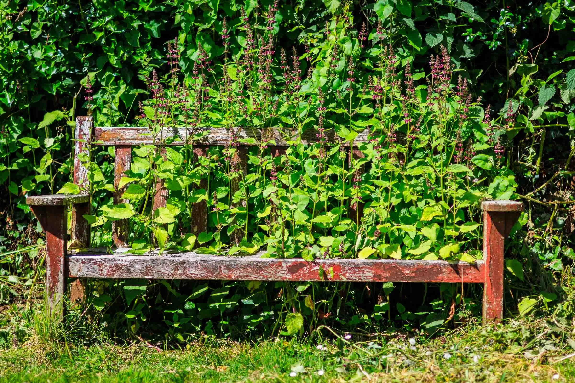 Living Bench