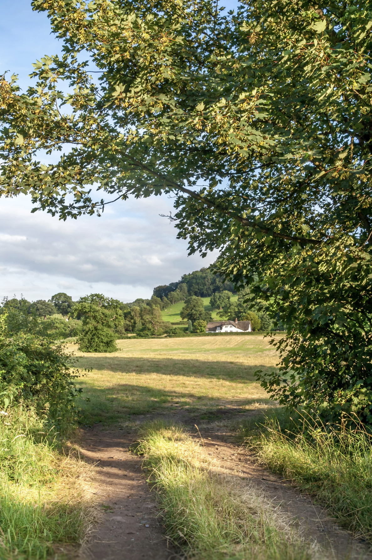 A rural landscape in Cheshire
