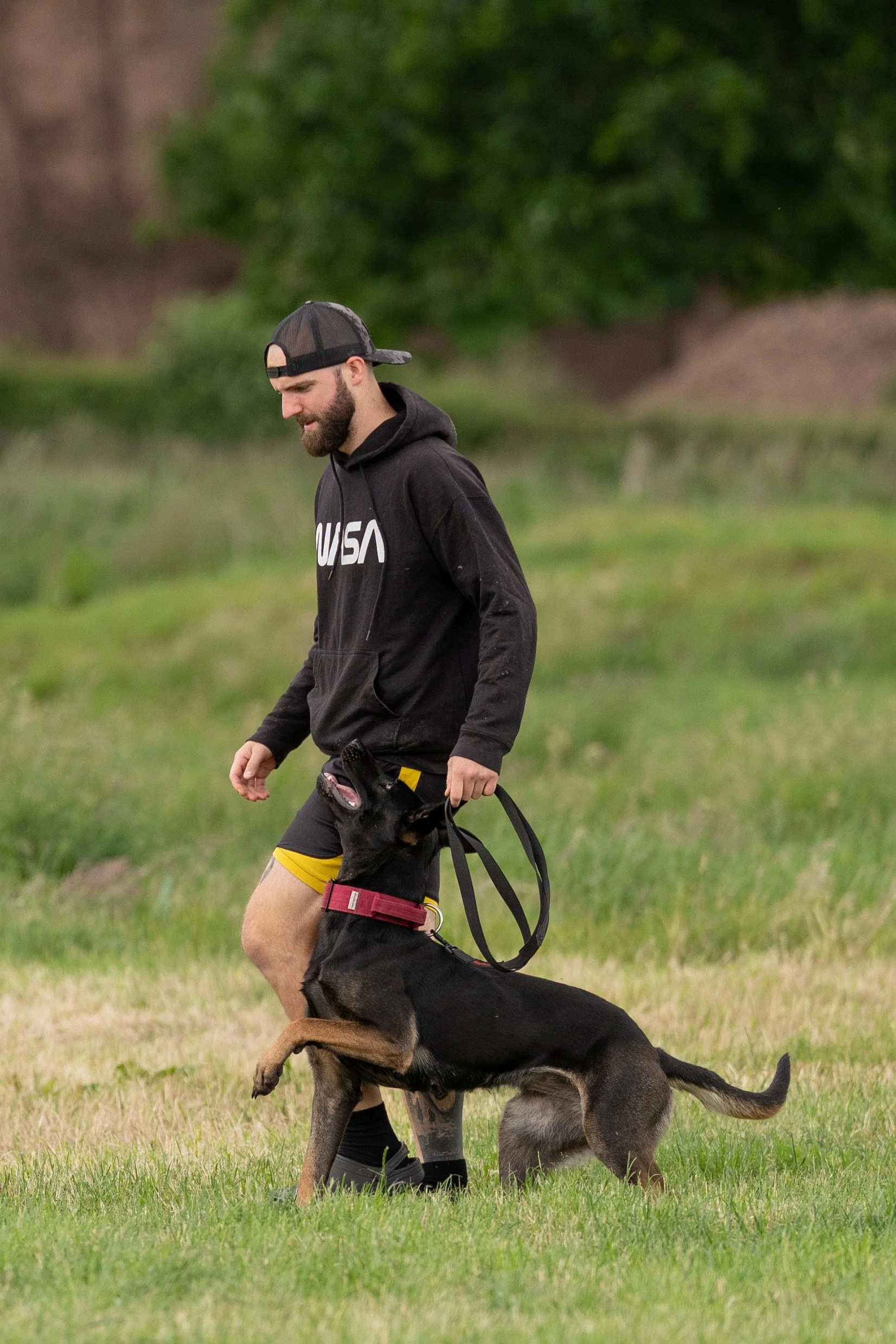 A man with a beard in a black hoodie and yellow shorts, wearing a black cap backwards, is walking with a German Shepherd dog on a leash in a grassy field with trees in the background.