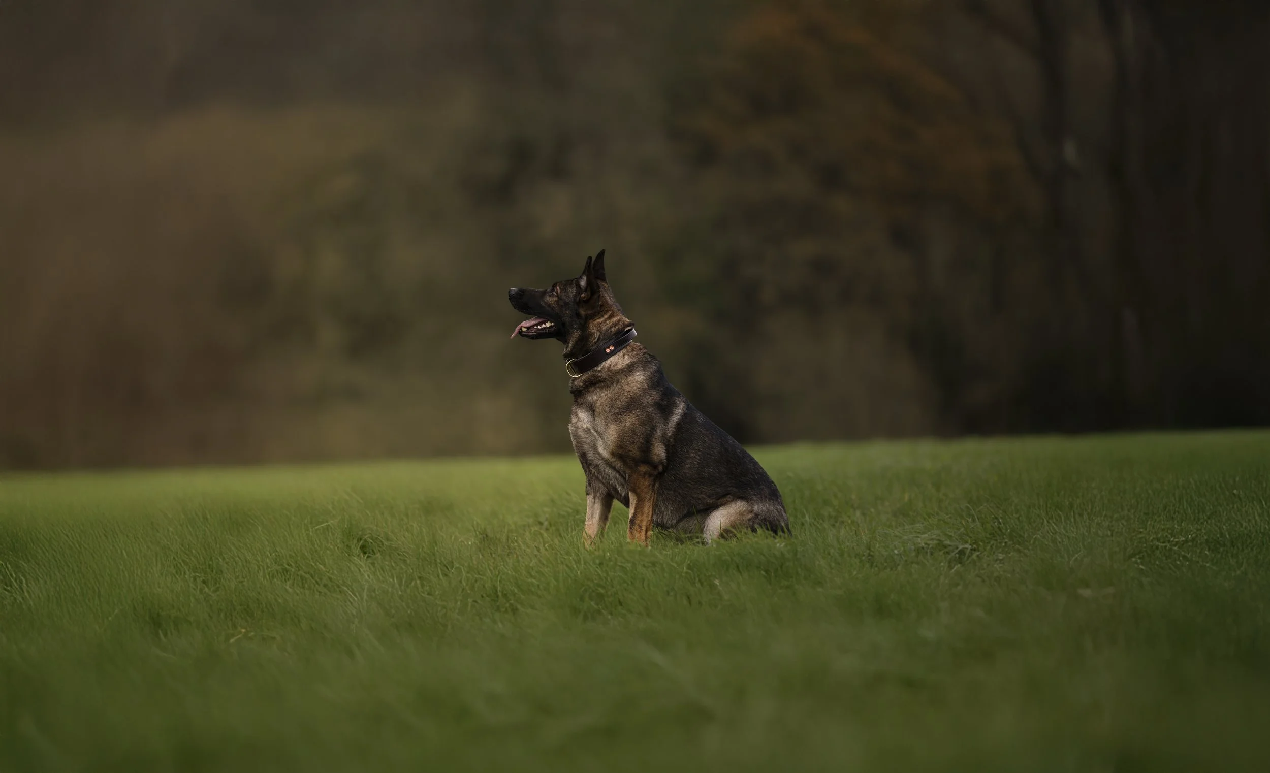 251205-05122025-0460_1 copy.jpeg