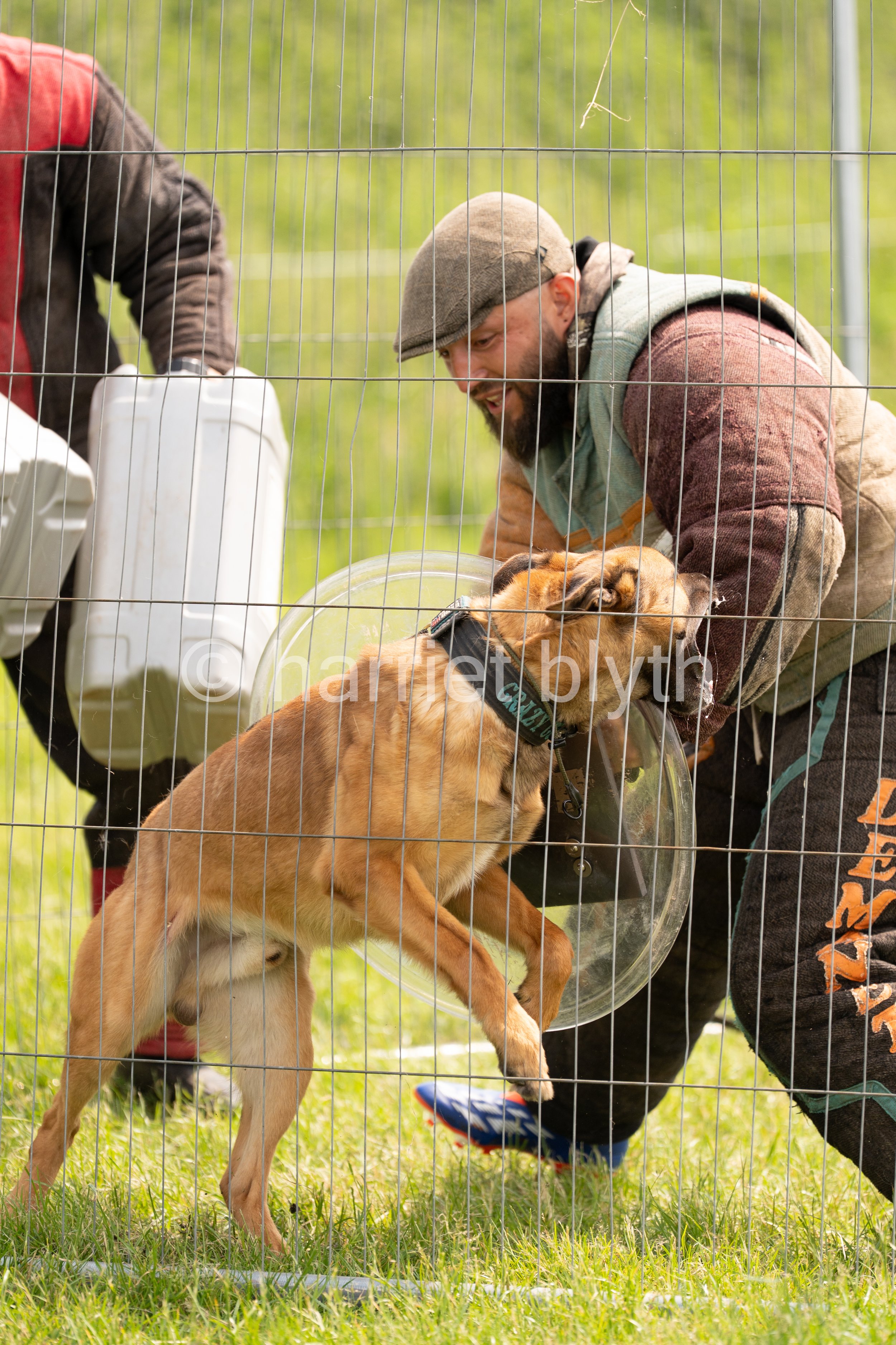 A man crouching next to a brown dog with a plastic cone around its neck inside a wire fence. The man is smiling and wearing a cap and casual outdoor clothing. The dog is standing on grass and appears to be happy.