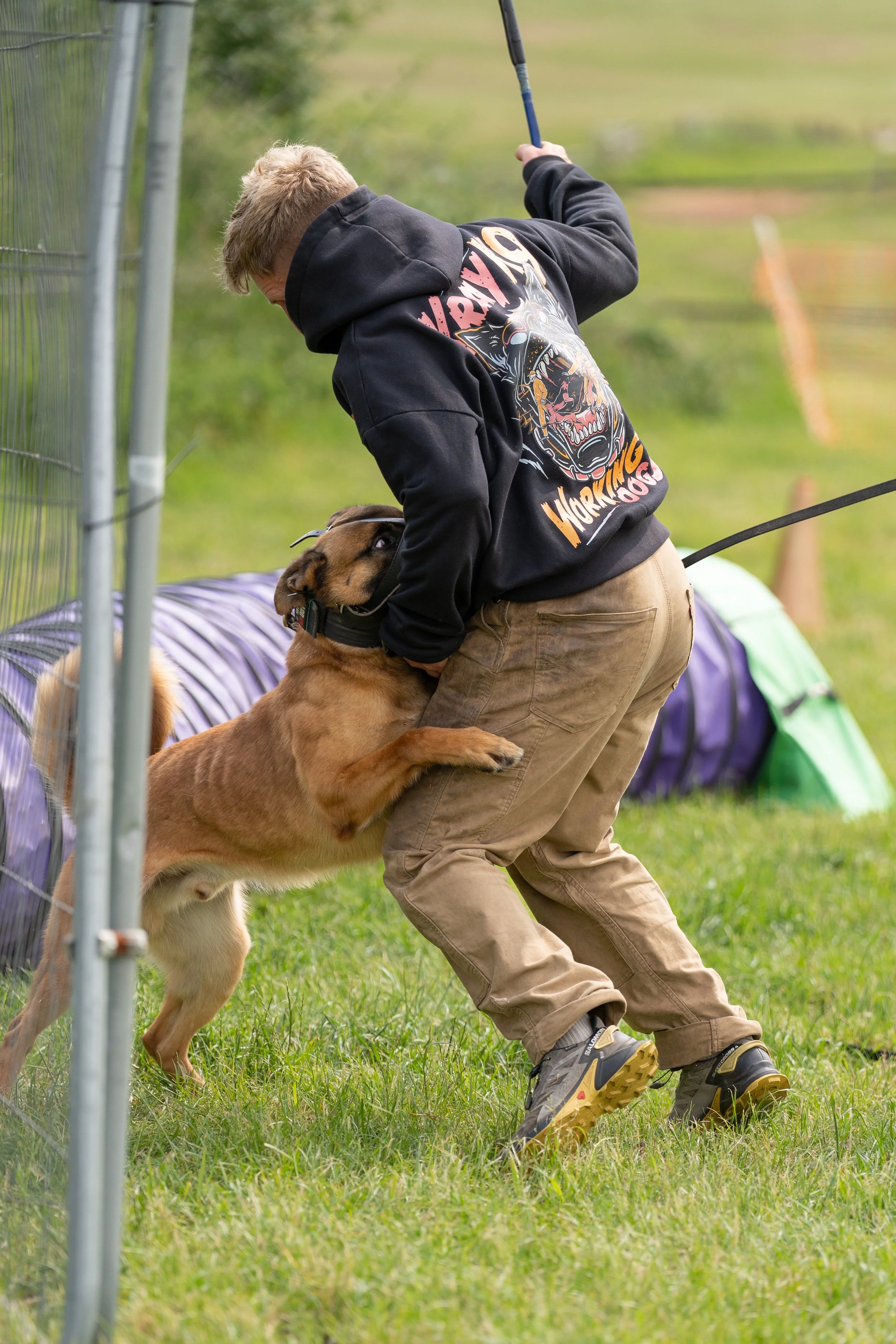 A man in outdoor clothing and hiking boots bends down to hold a young brown dog with a black collar, near a wire fence in a grassy area with green trees in the background.