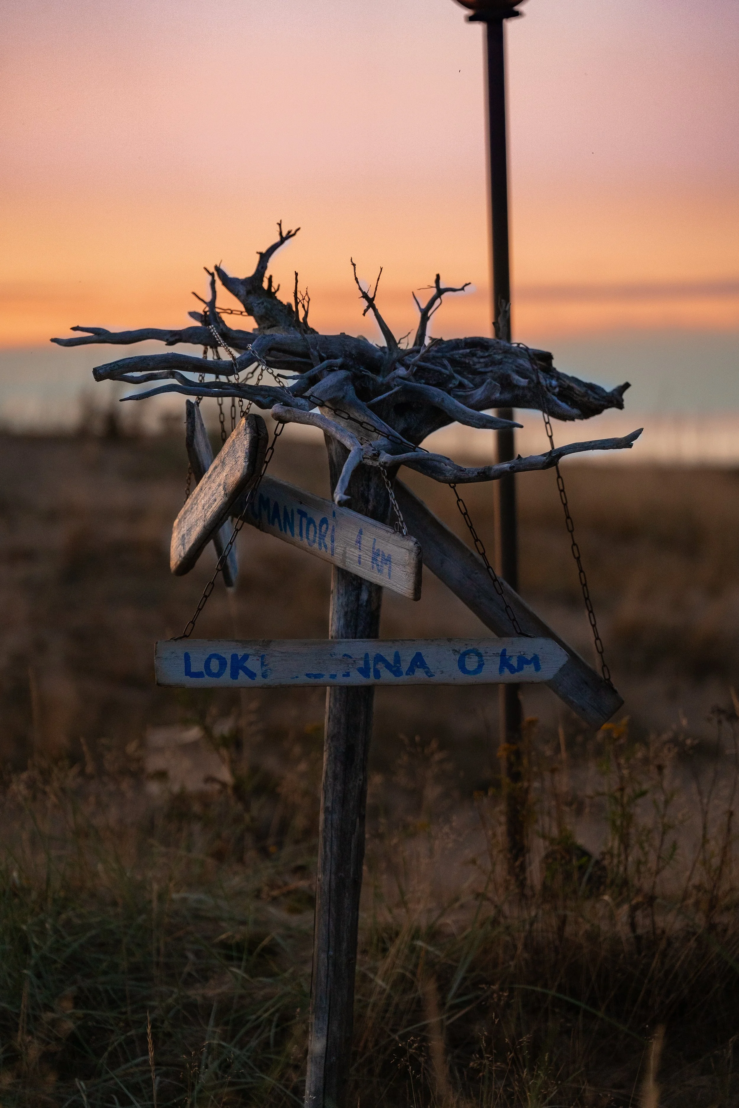 A weathered wooden directional signpost in a field at sunset, with a decorative branch on top, pointing towards Mantori and Loko. The background features a pastel pink and orange sky with a few clouds.