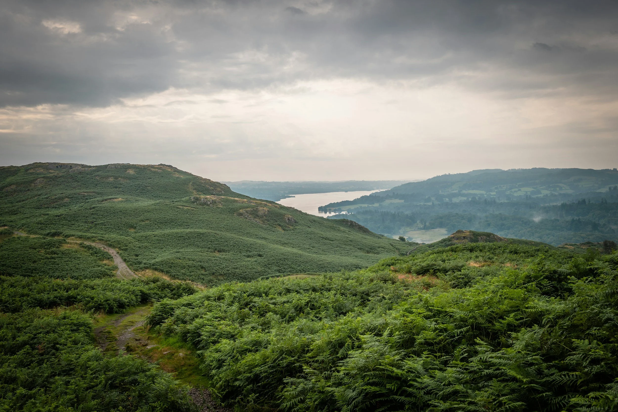 Green rolling hills with a distant river and cloudy sky.