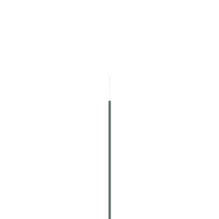 Illustration of a black spider with a white background, hanging from a thread.