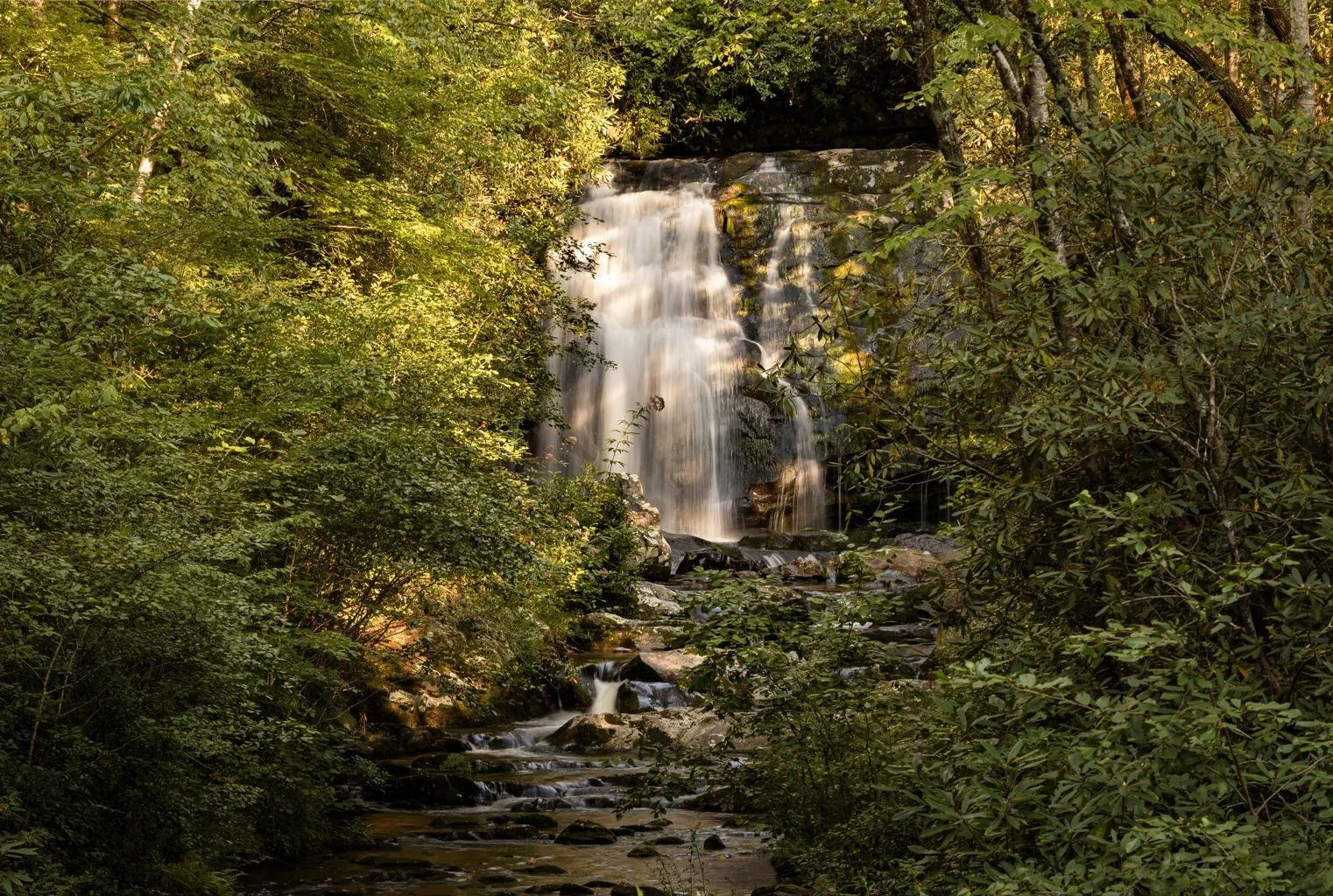 A lush green forest surrounds a waterfall cascading down rocks into a stream.