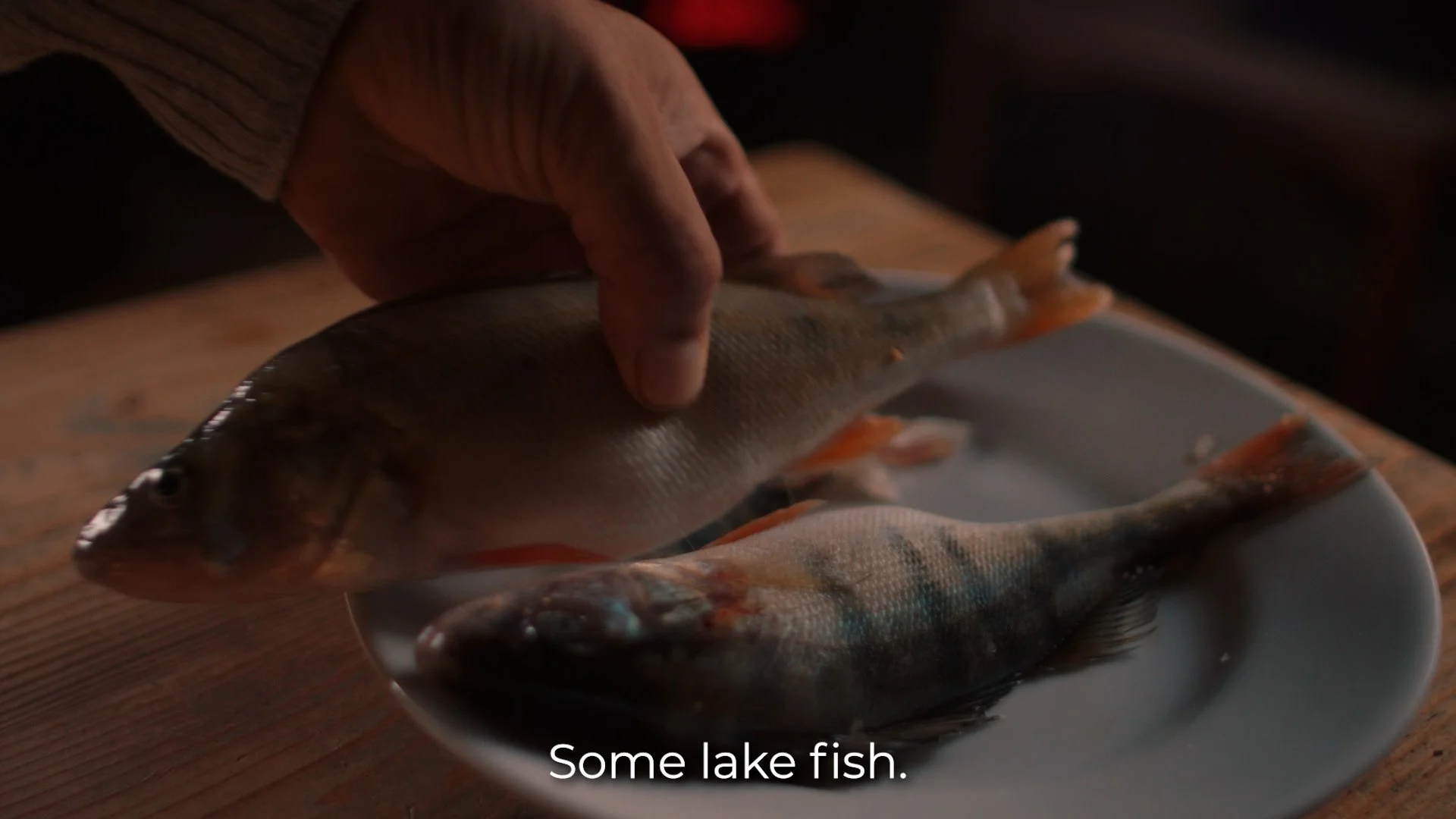 Enzo_Lake_Master.mp4.00_01_44_08.Still002.jpg