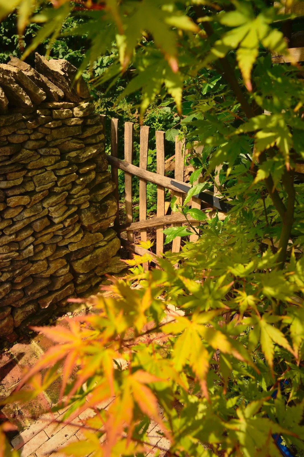 Richmond Rd Gate 2.jpeg