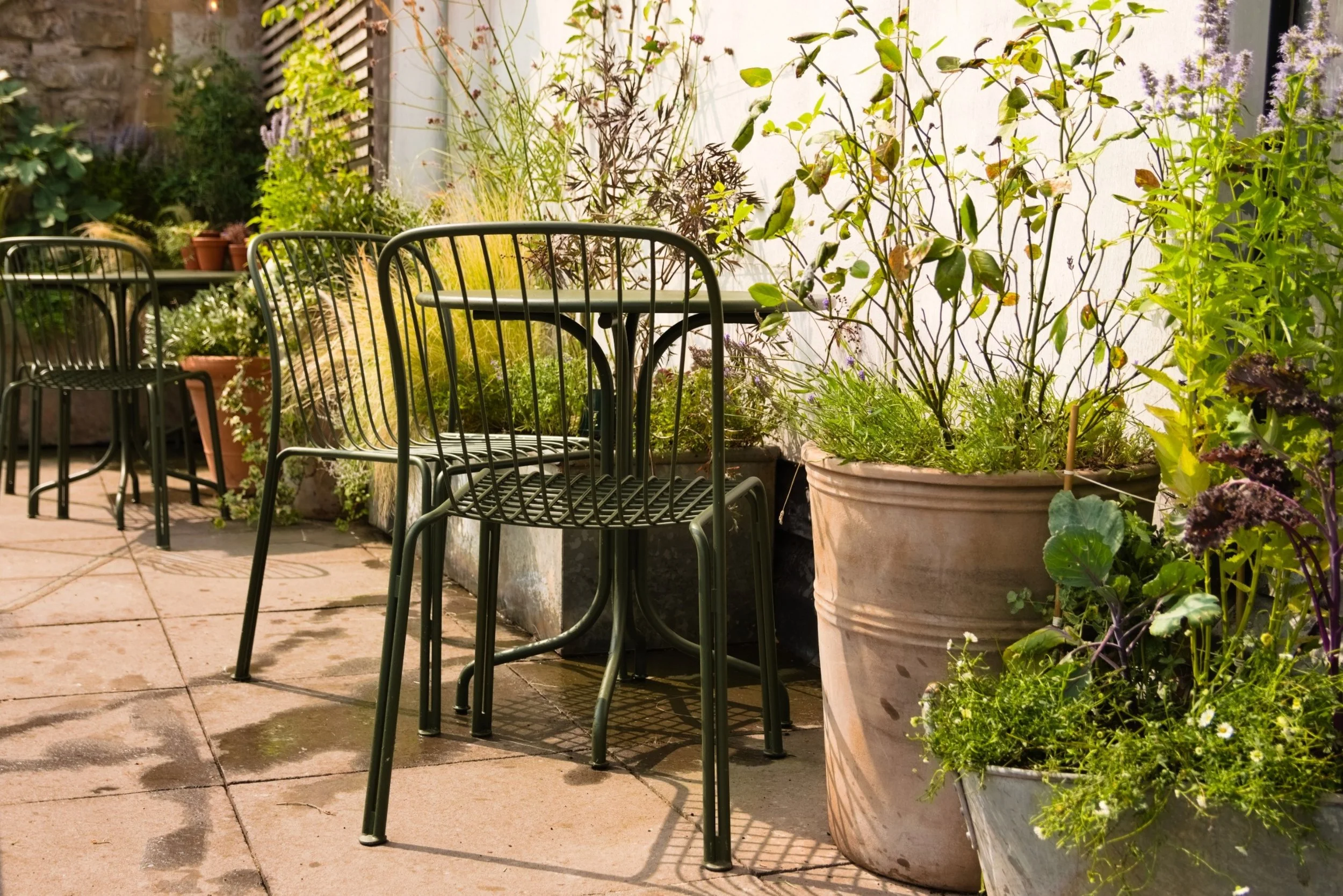 A patio with potted plants and black metal chairs and tables, surrounded by a white wall and various green plants.