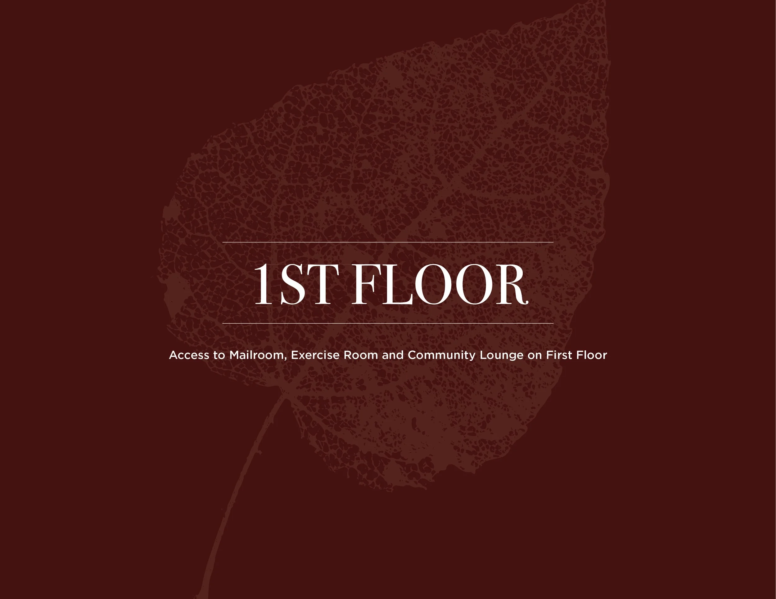 1st Floor