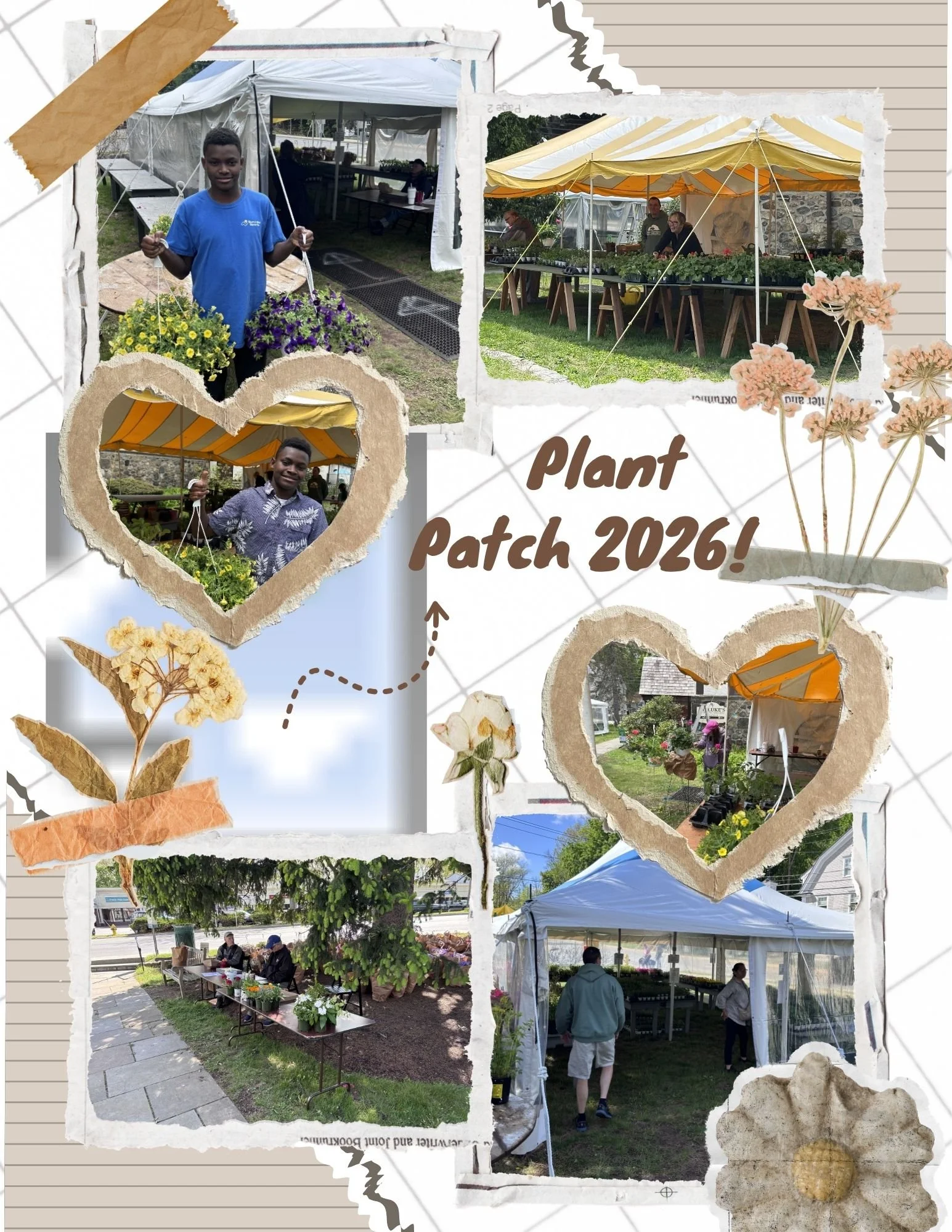 Collage of photos from a plant patch event in 2026 showing people at outdoor plant stalls, a person holding potted plants, and people sitting and browsing at various booths under tents.