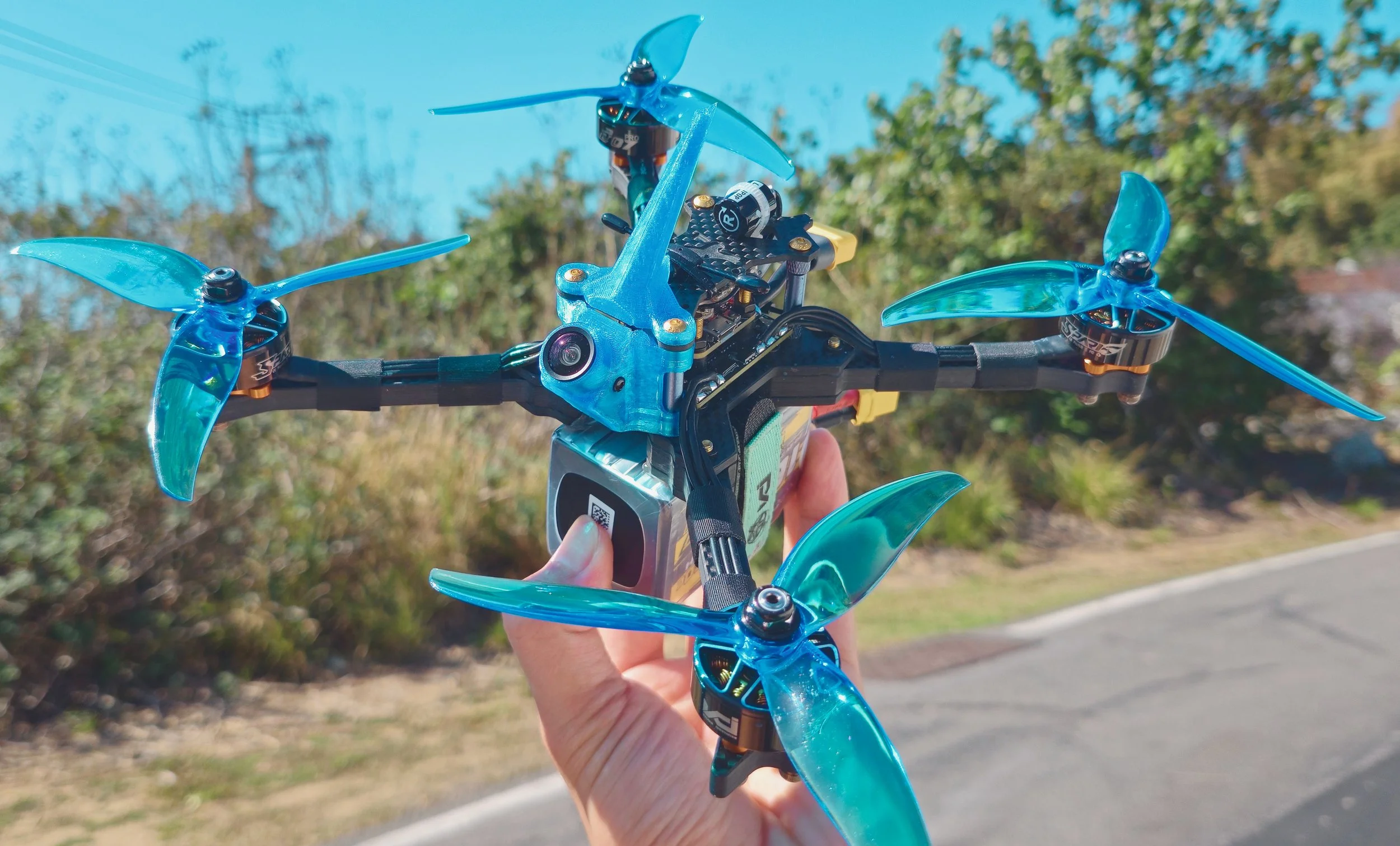 Field of blooming daisies with white petals and yellow centers, illuminated by warm sunlight