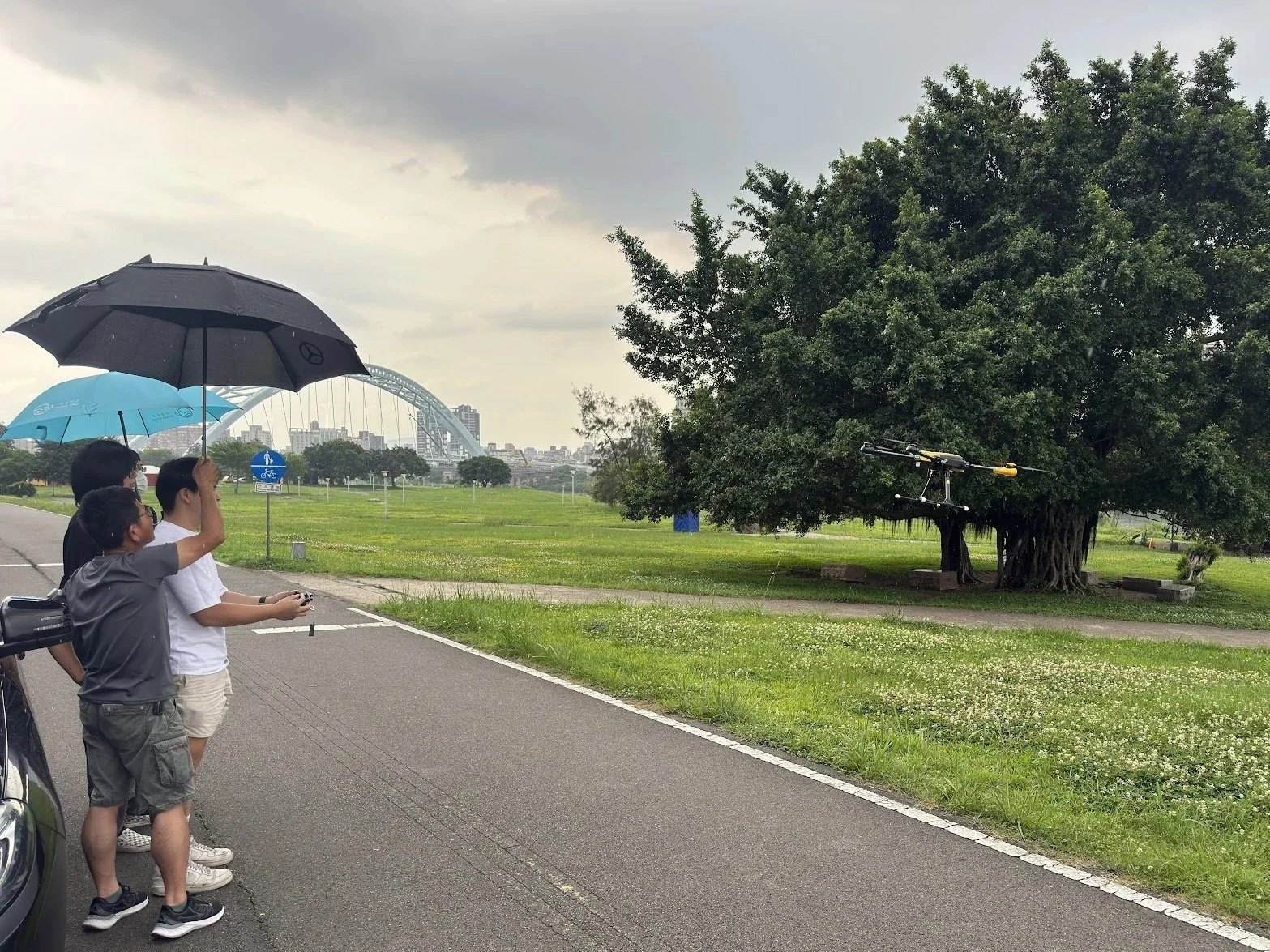 Three children with umbrellas watching a drone fly in a park with a large tree, green grass, and a cityscape with a bridge and high-rise buildings in the background.
