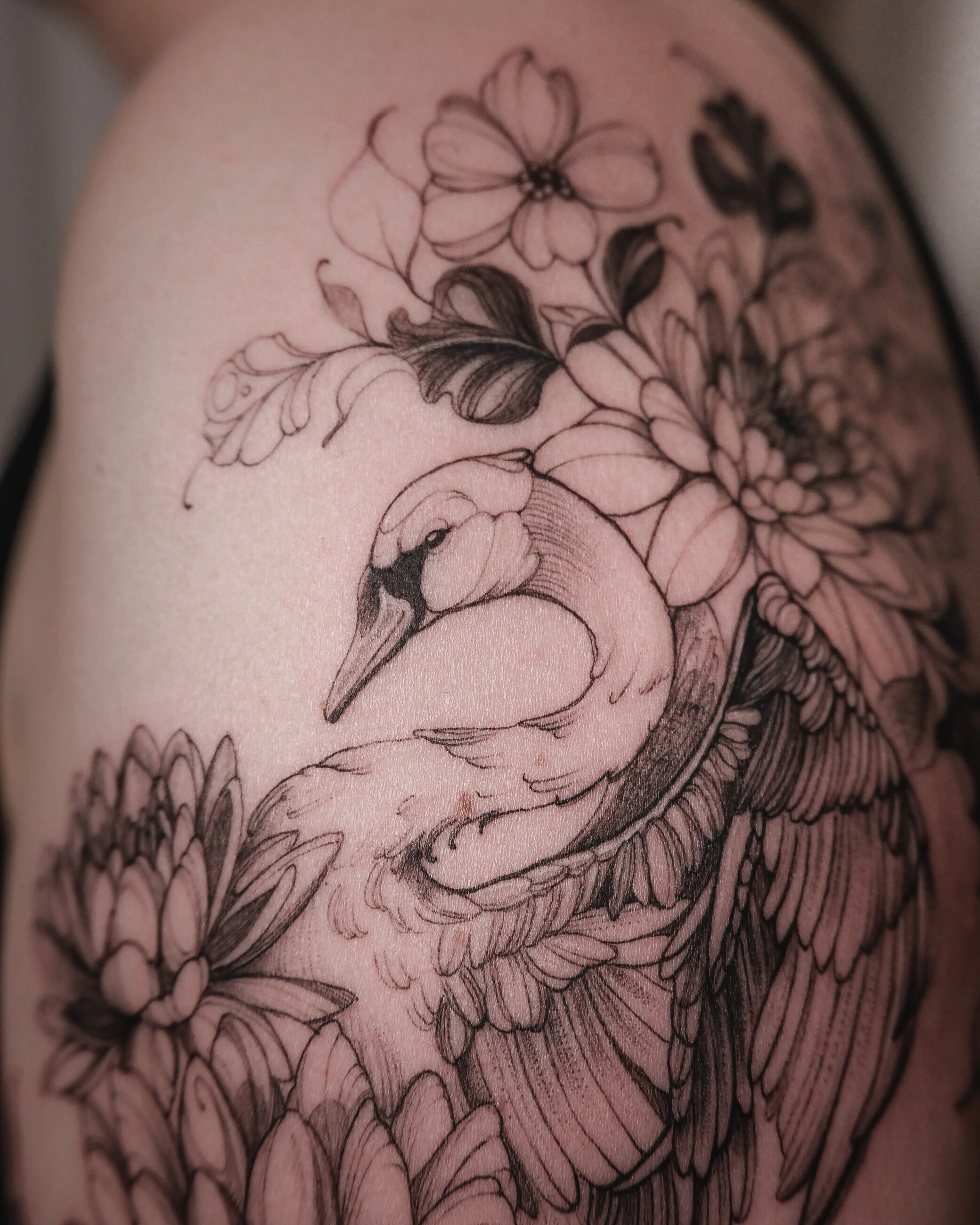 Swan With Lotus