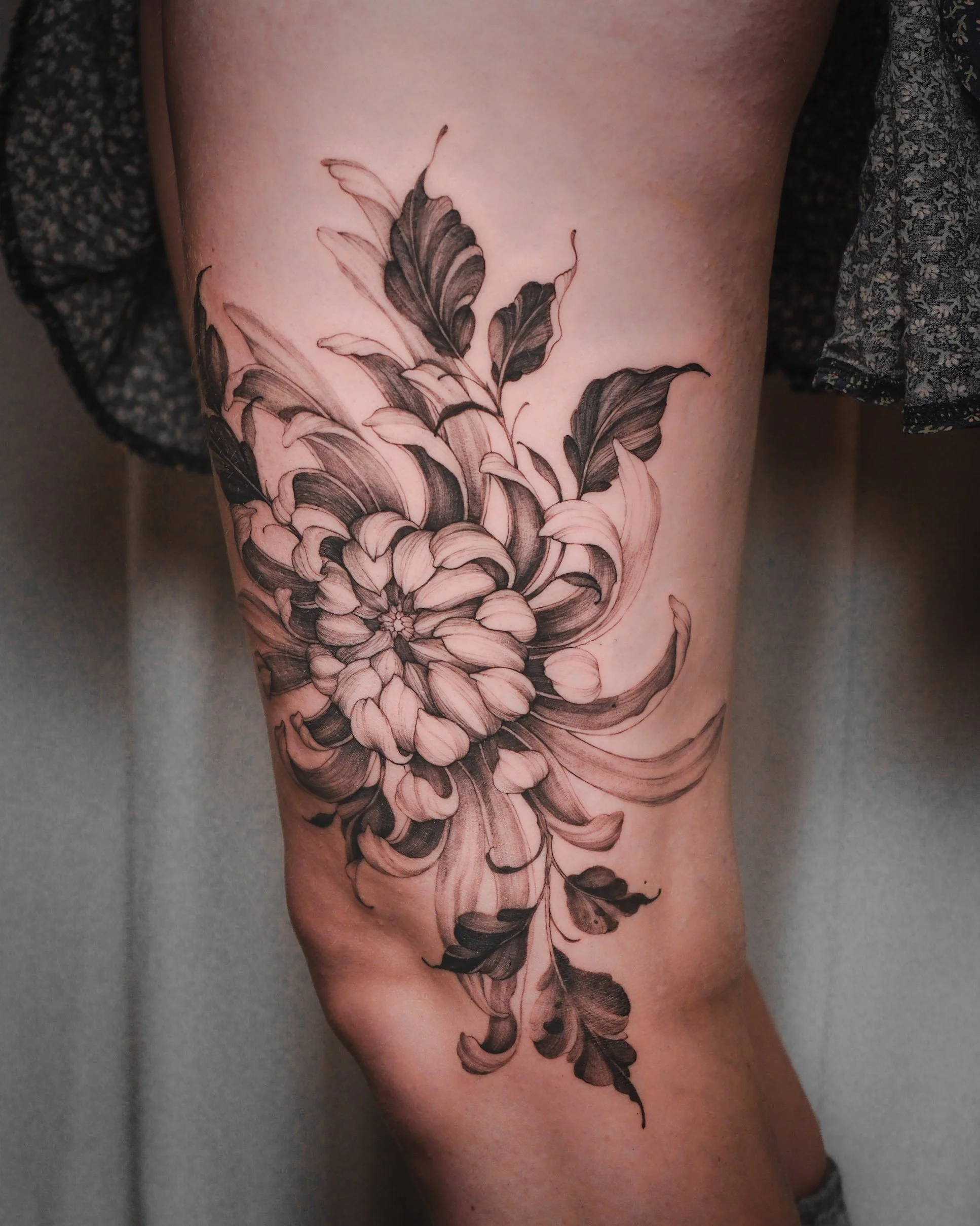 Chrysanthemum