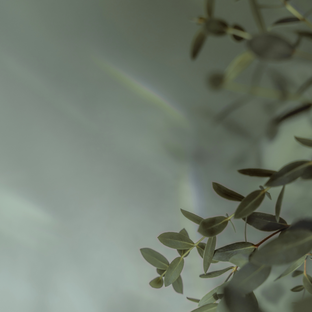 Medspa in San Antonio, TX 78259 l Ivy Wellness and Aesthetics