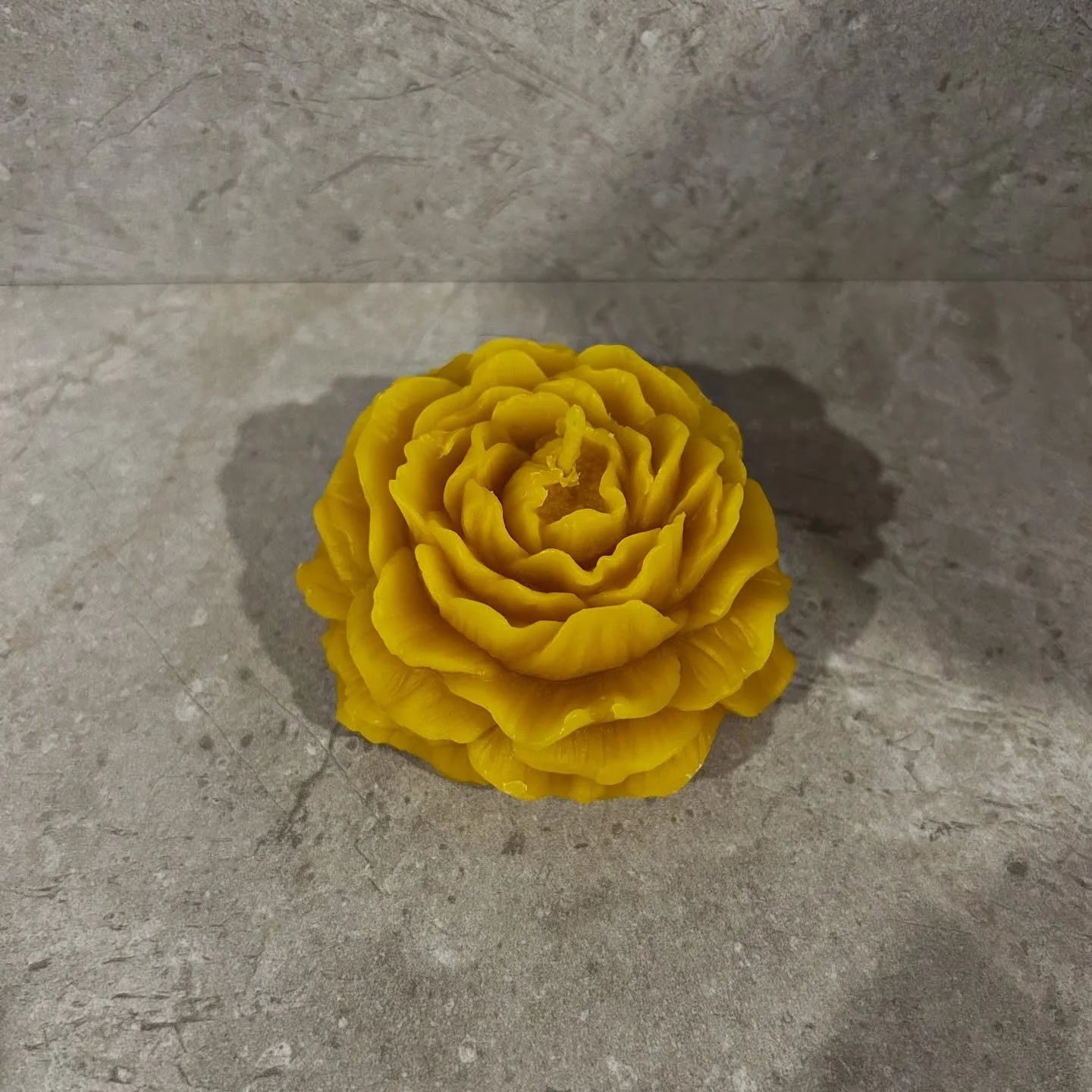 The Golden Yellow Peony 💛