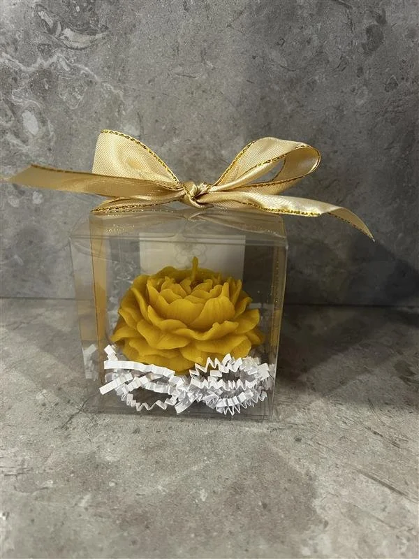 The Yellow or Burgundy Peony in a Gift Box
