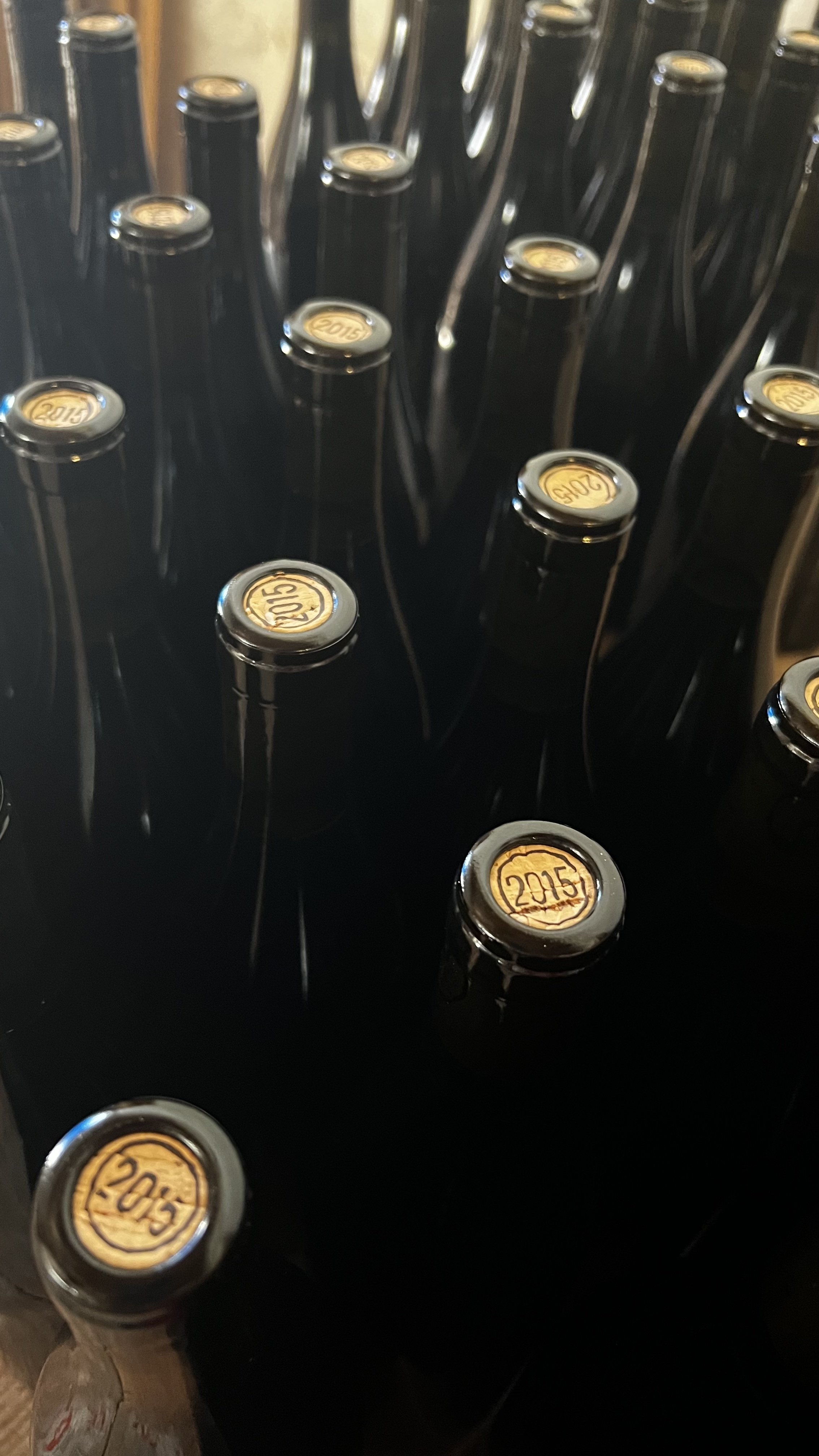 bottles 2015.jpg