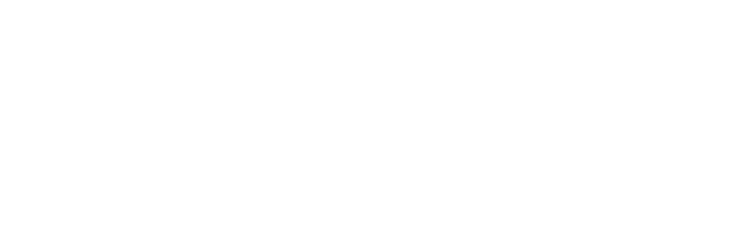 Lumia Foundation logo with a stylized circular design and the text 'Lumia Foundation' in white on a black background.