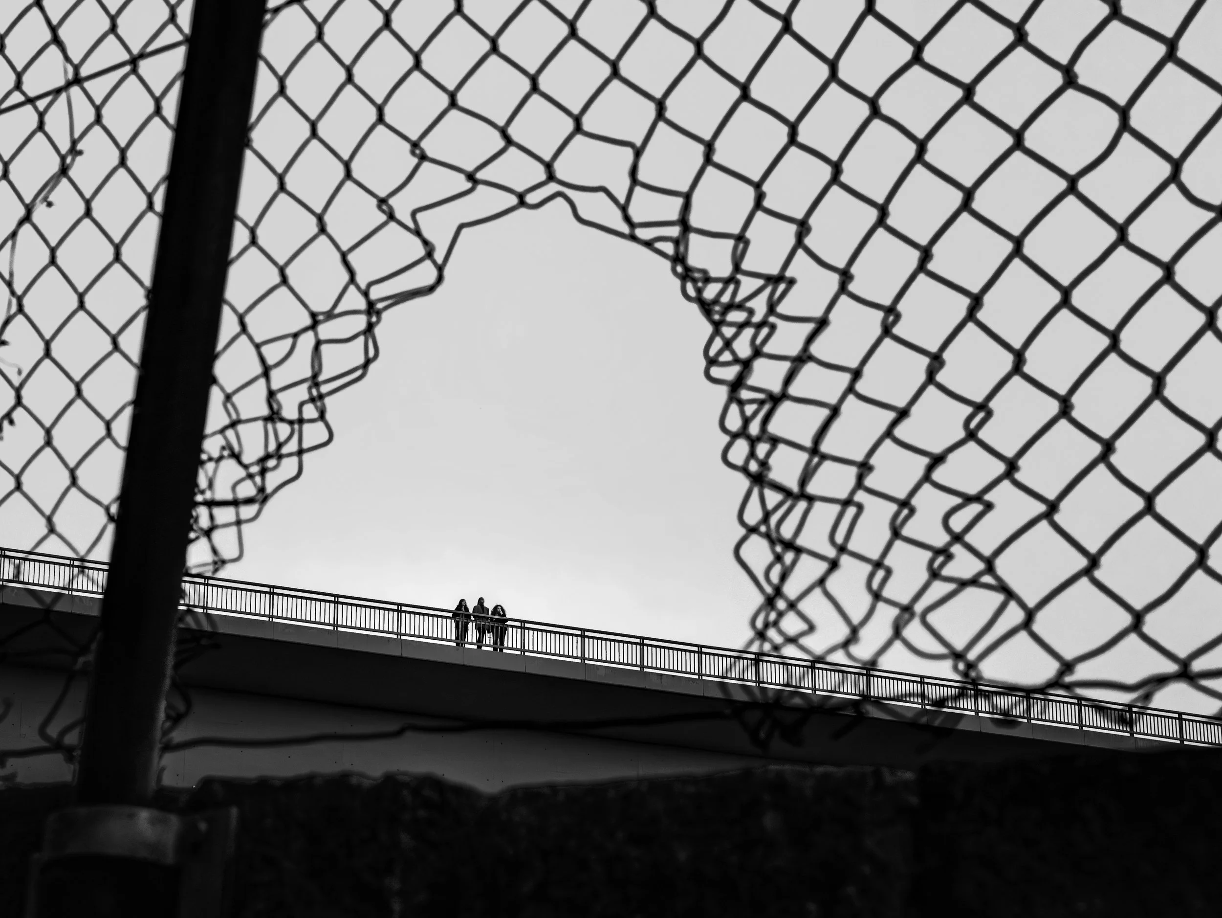 P1050989-Enhanced-NR copy.jpg