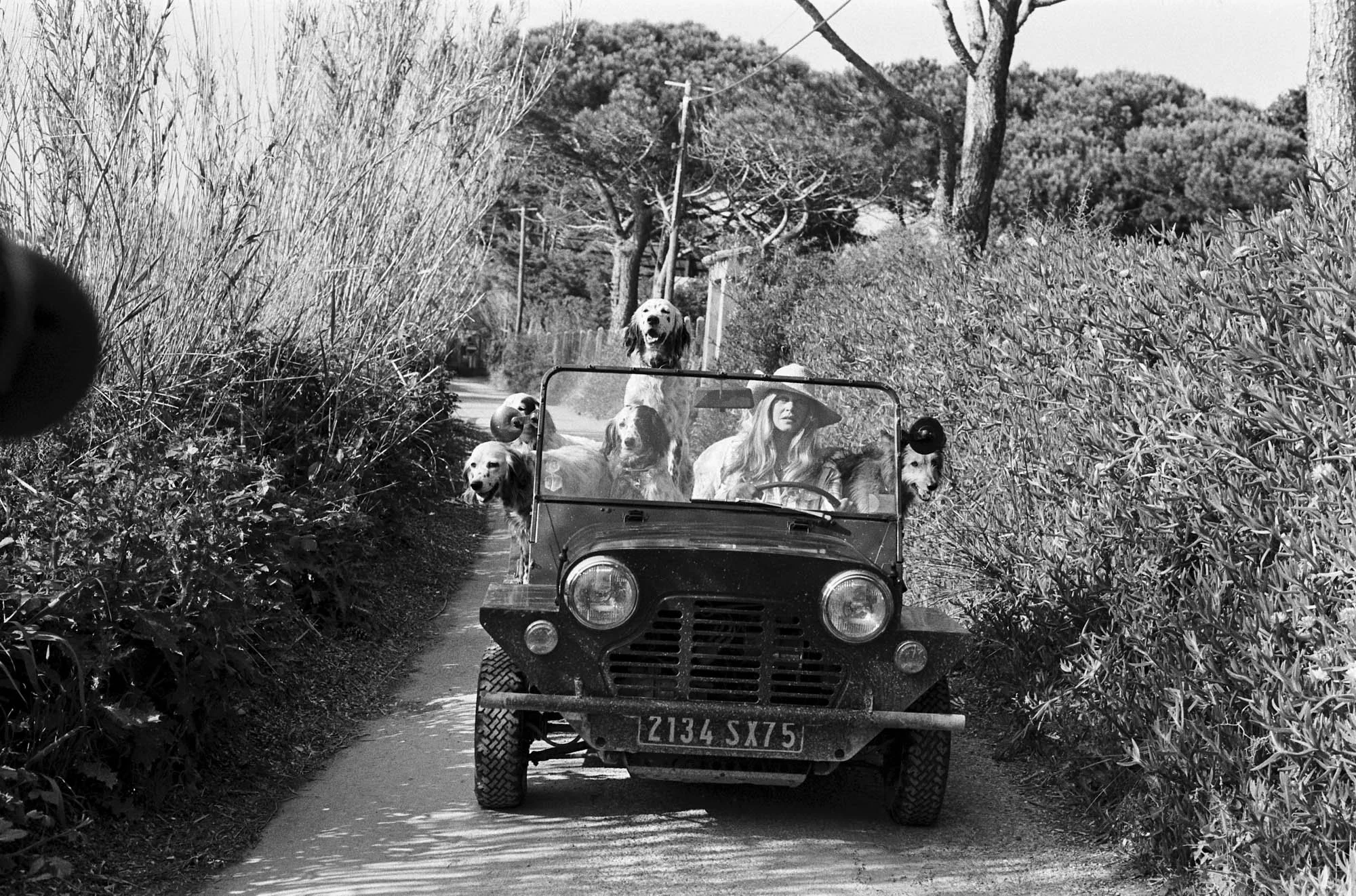 The NEWO Story — Part I